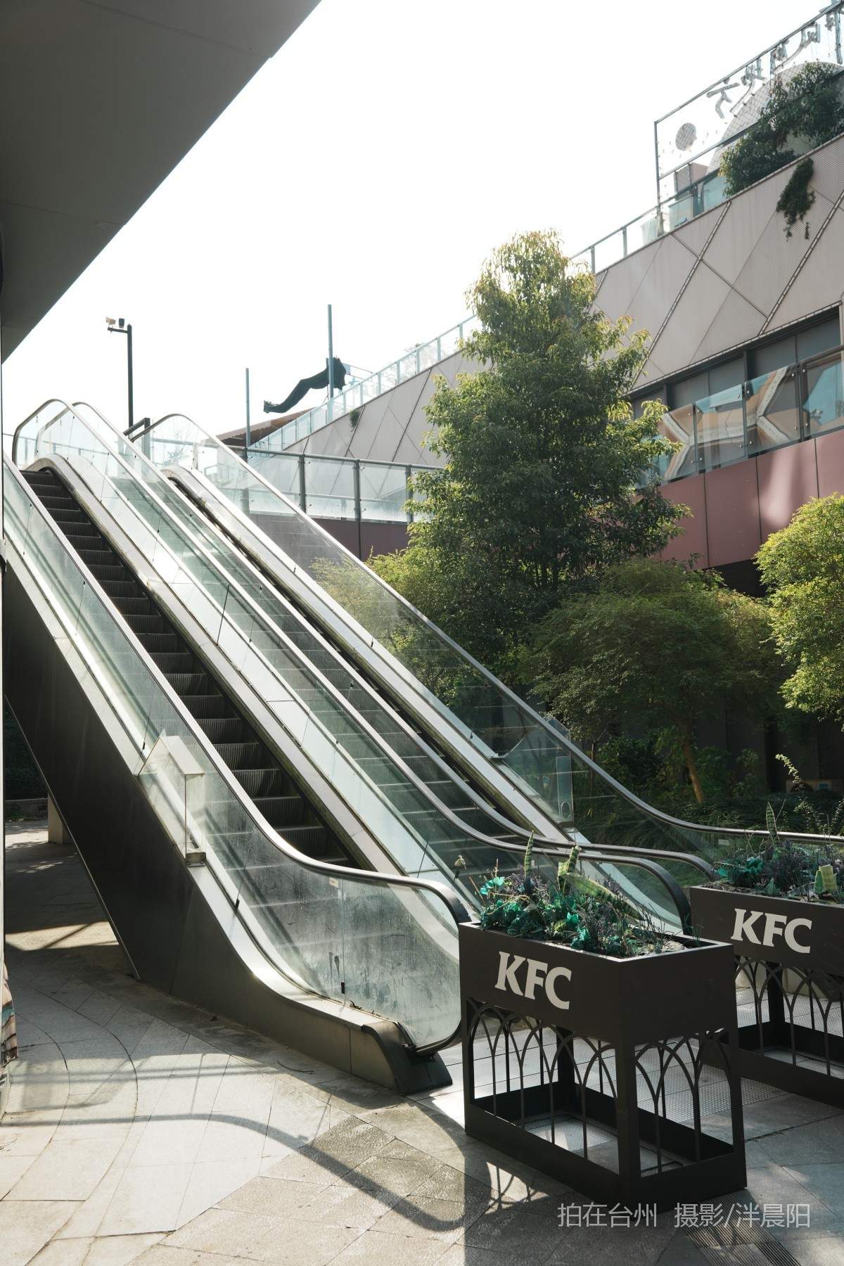 仙居福应街道大卫世纪城(图9)