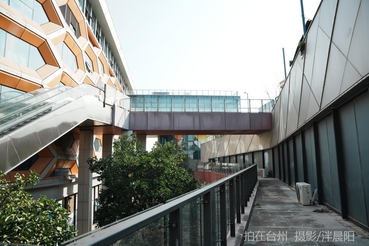 仙居福应街道大卫世纪城(图8)