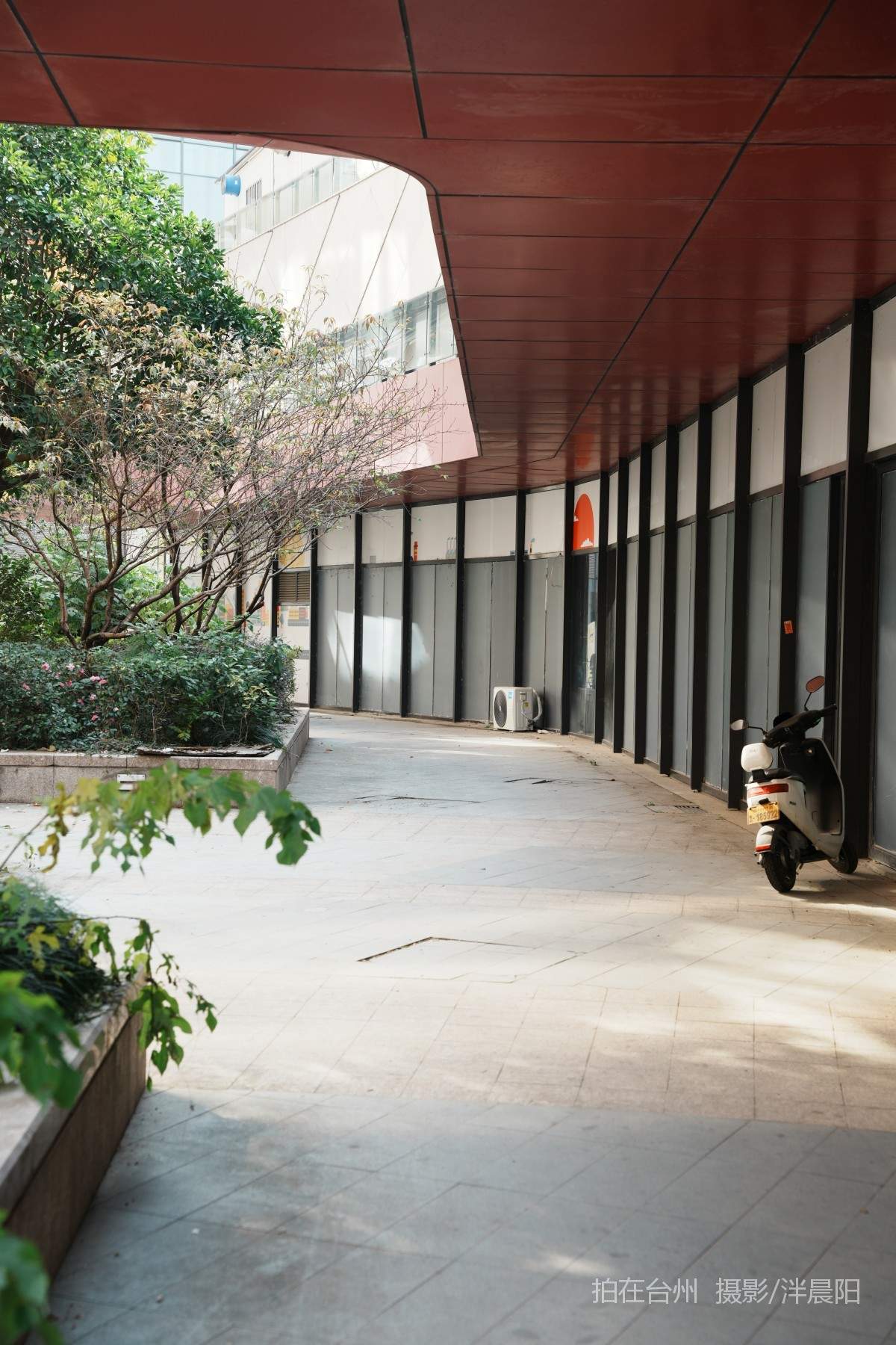 仙居福应街道大卫世纪城(图4)