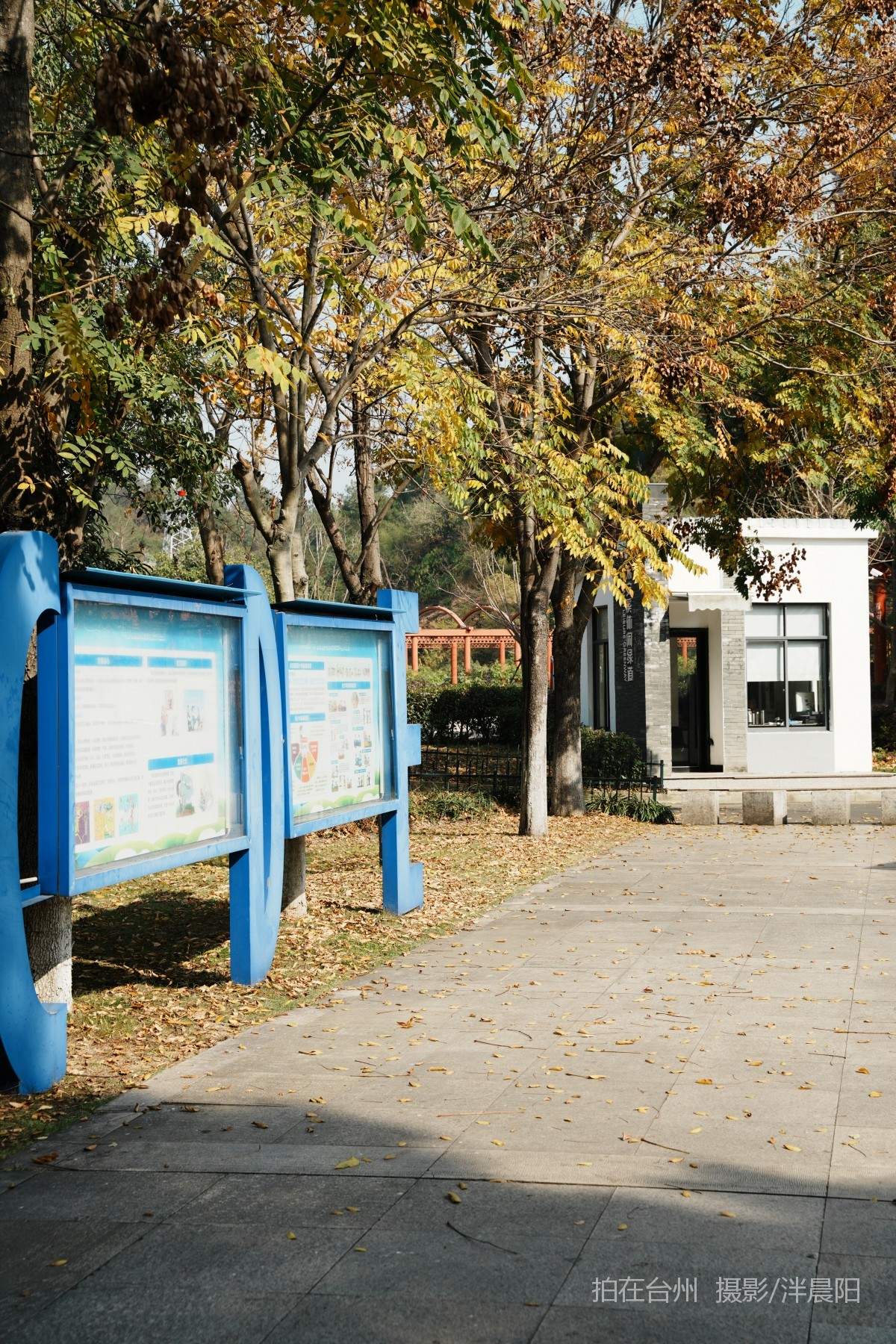 仙居福应街道永安公园(图8)