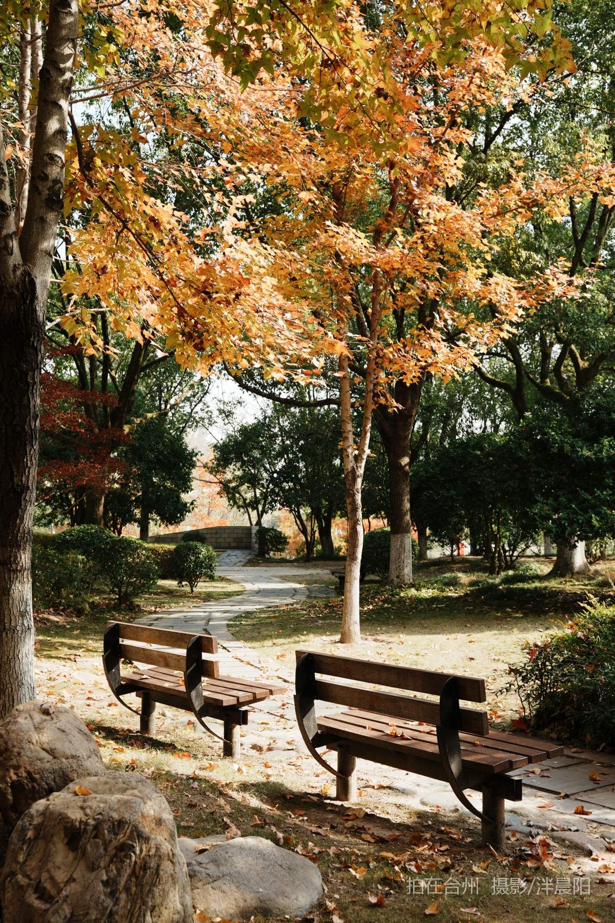 仙居福应街道永安公园(图11)