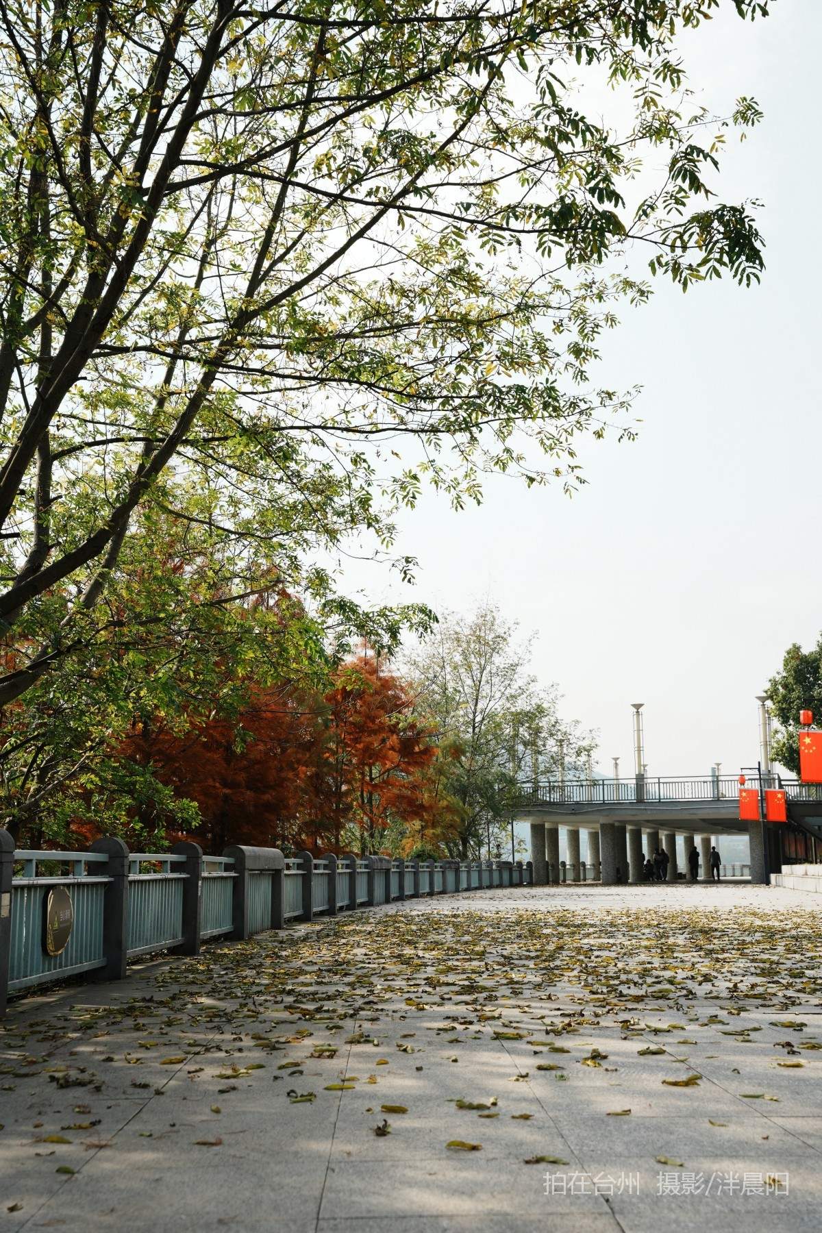 仙居福应街道永安公园(图5)