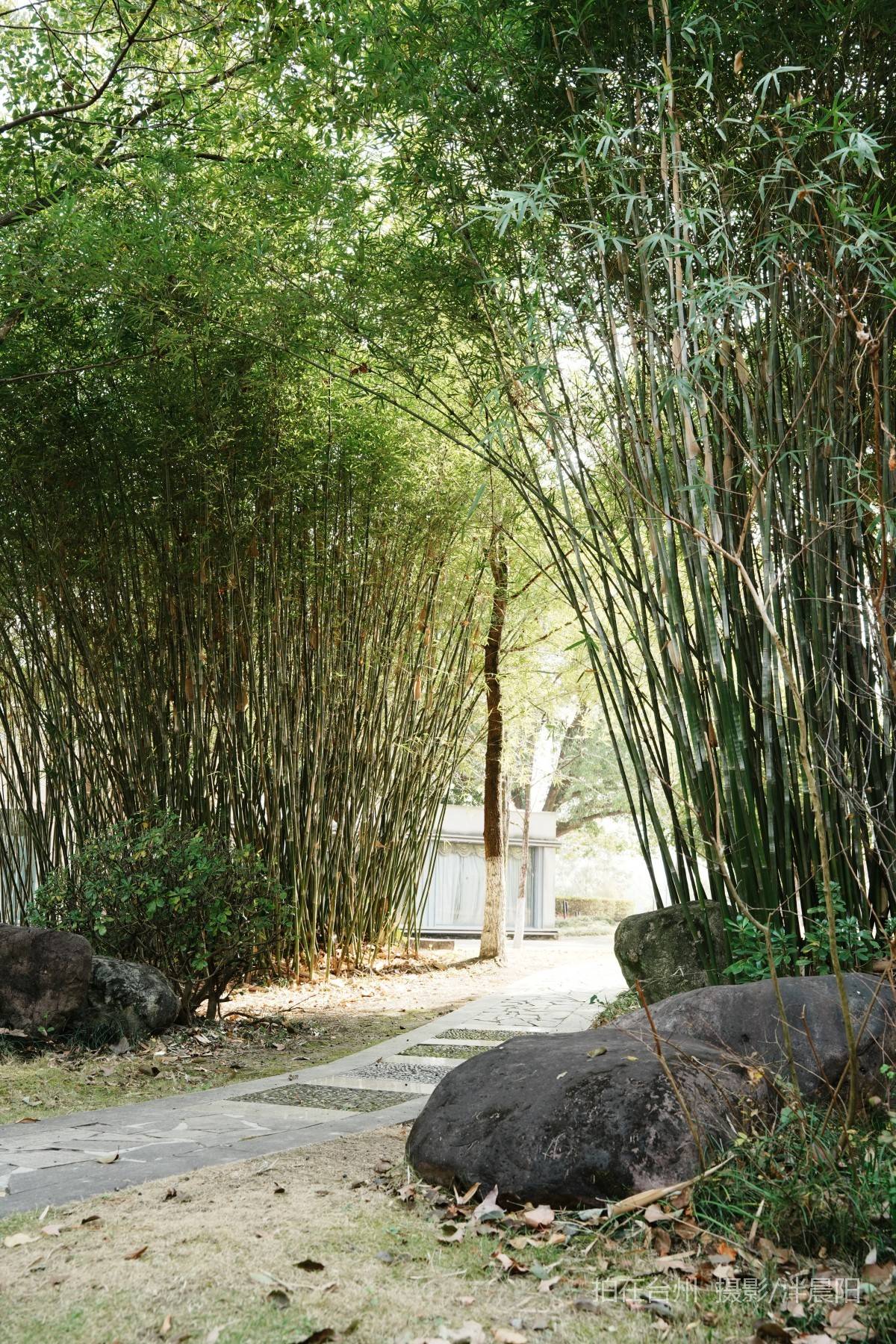 仙居福应街道永安公园(图3)