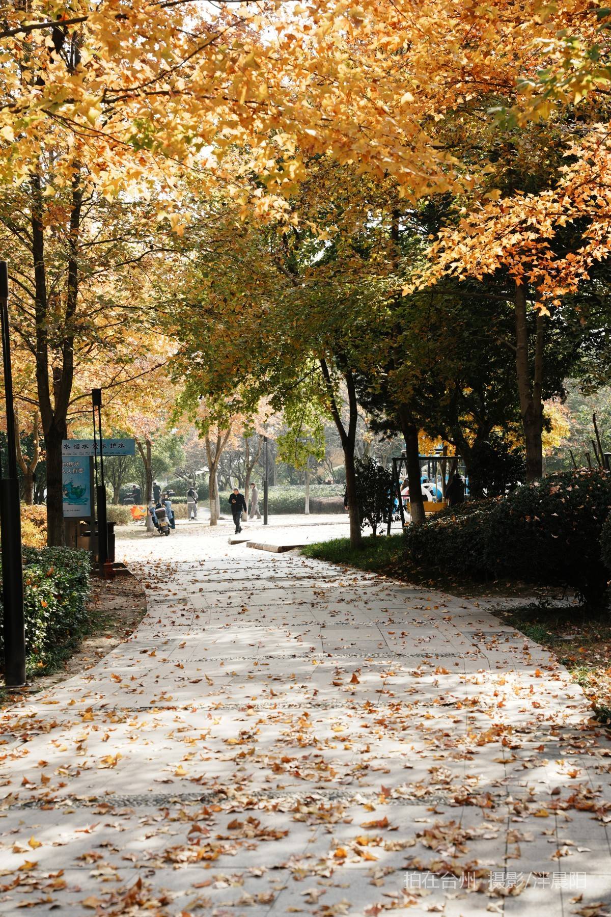 仙居福应街道永安公园(图2)