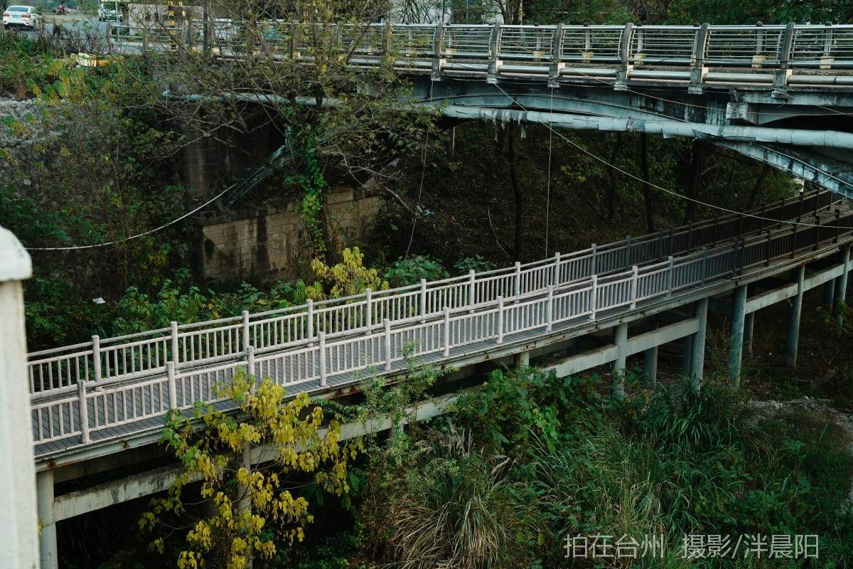 仙居福应街道河埠路河埠大桥(图3)