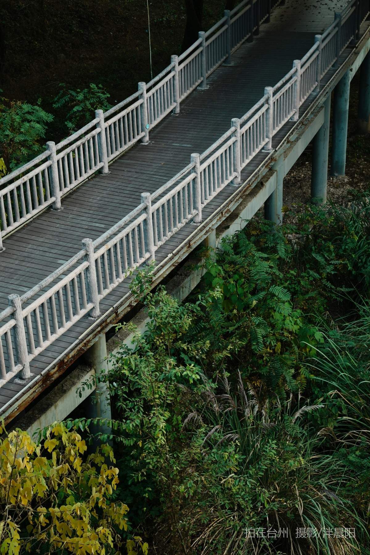 仙居福应街道河埠路河埠大桥(图2)