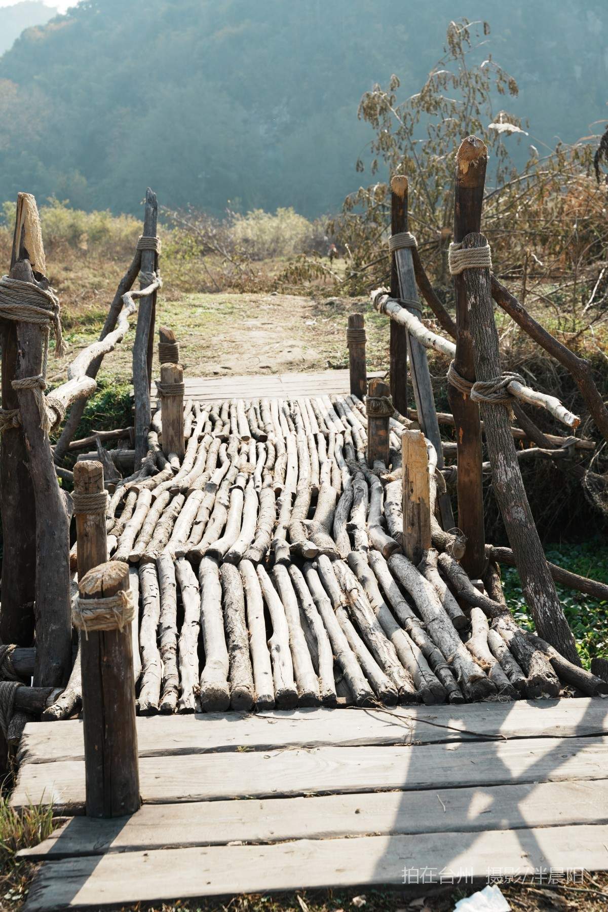 仙居石牛村 孤独的树(图15)