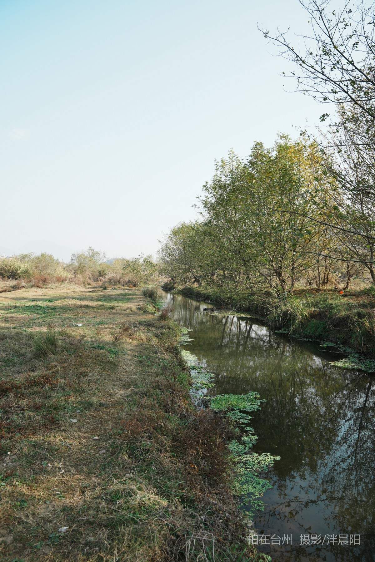 仙居石牛村 孤独的树(图12)