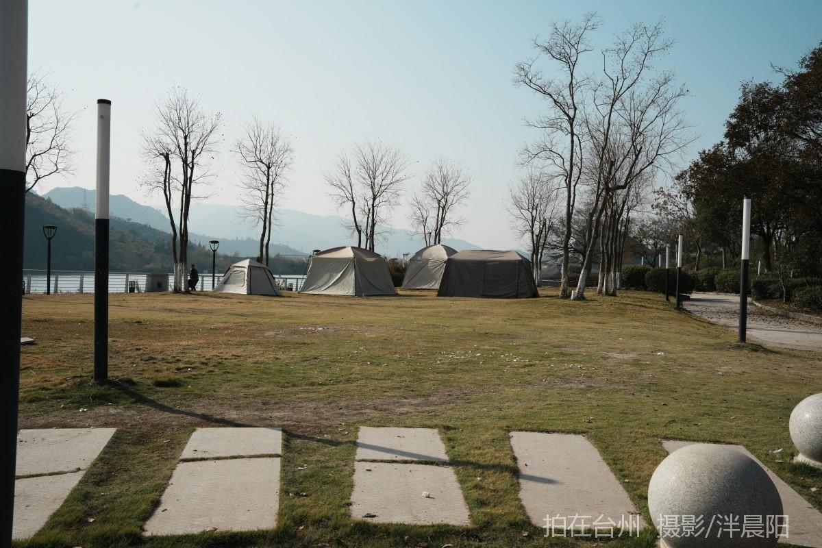 仙居石牛村 孤独的树(图1)