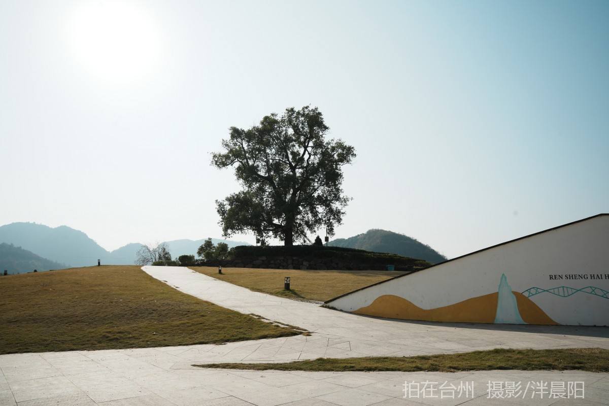 仙居石牛村 孤独的树(图4)