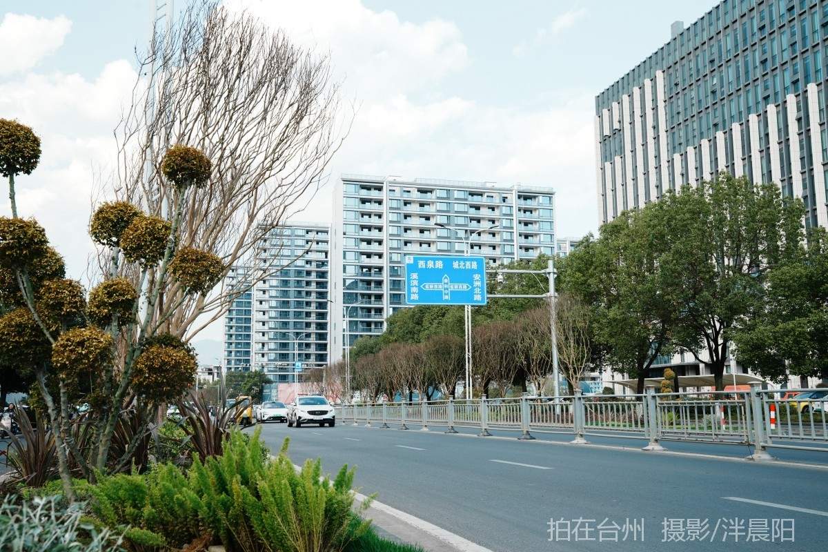 仙居吾悦商圈街景(图7)