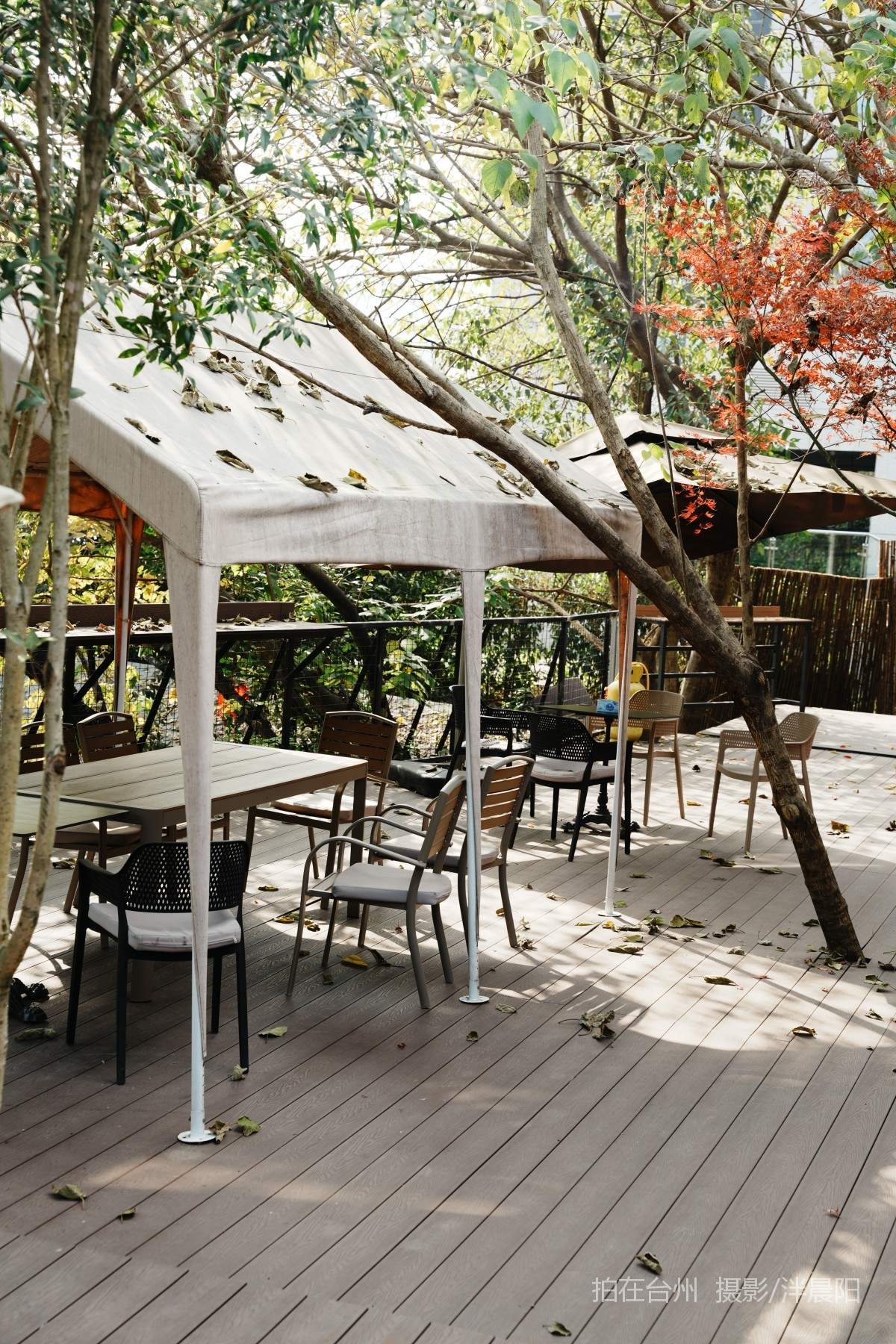 仙居永安剧院燕语咖啡(图15)