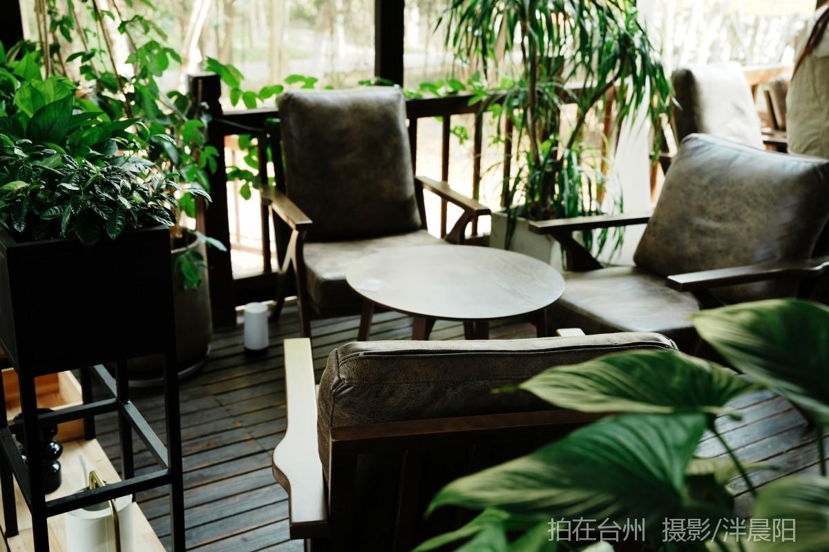 仙居永安剧院燕语咖啡(图9)