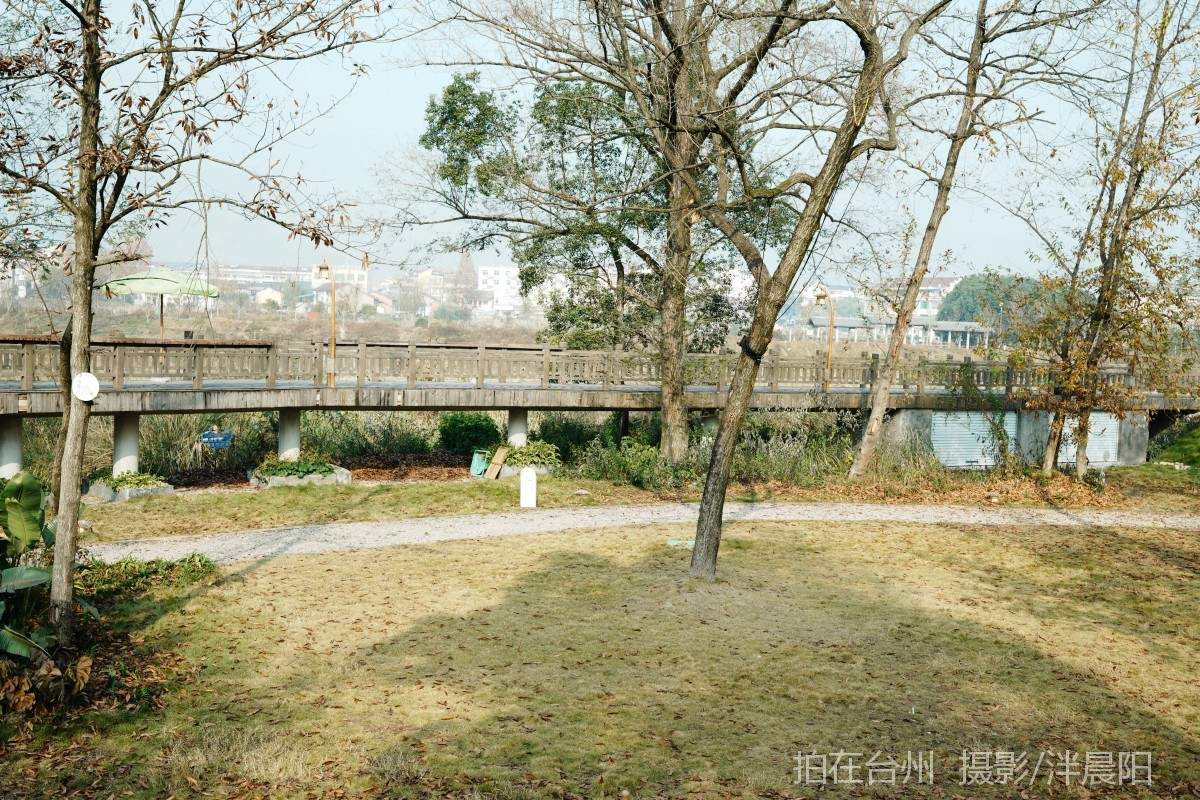 仙居官路镇临石路47号观麓·自然聚场(图8)