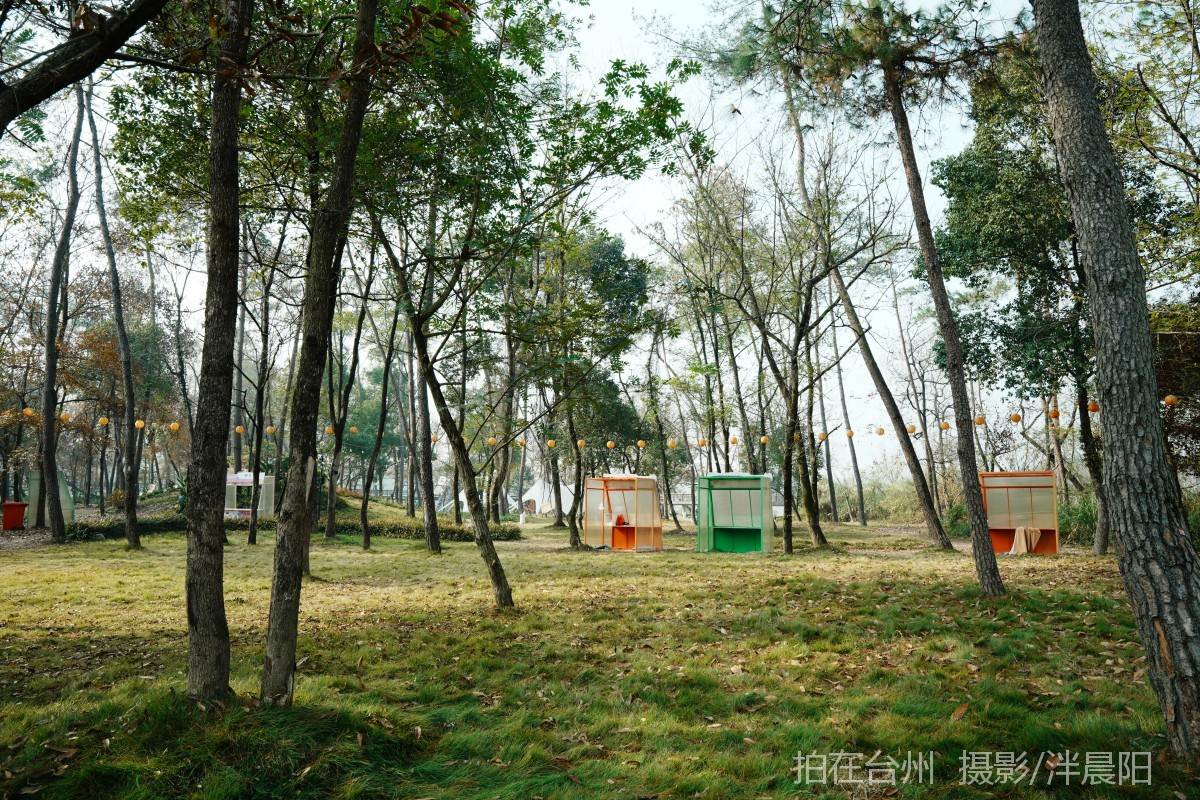 仙居官路镇临石路47号观麓·自然聚场(图2)