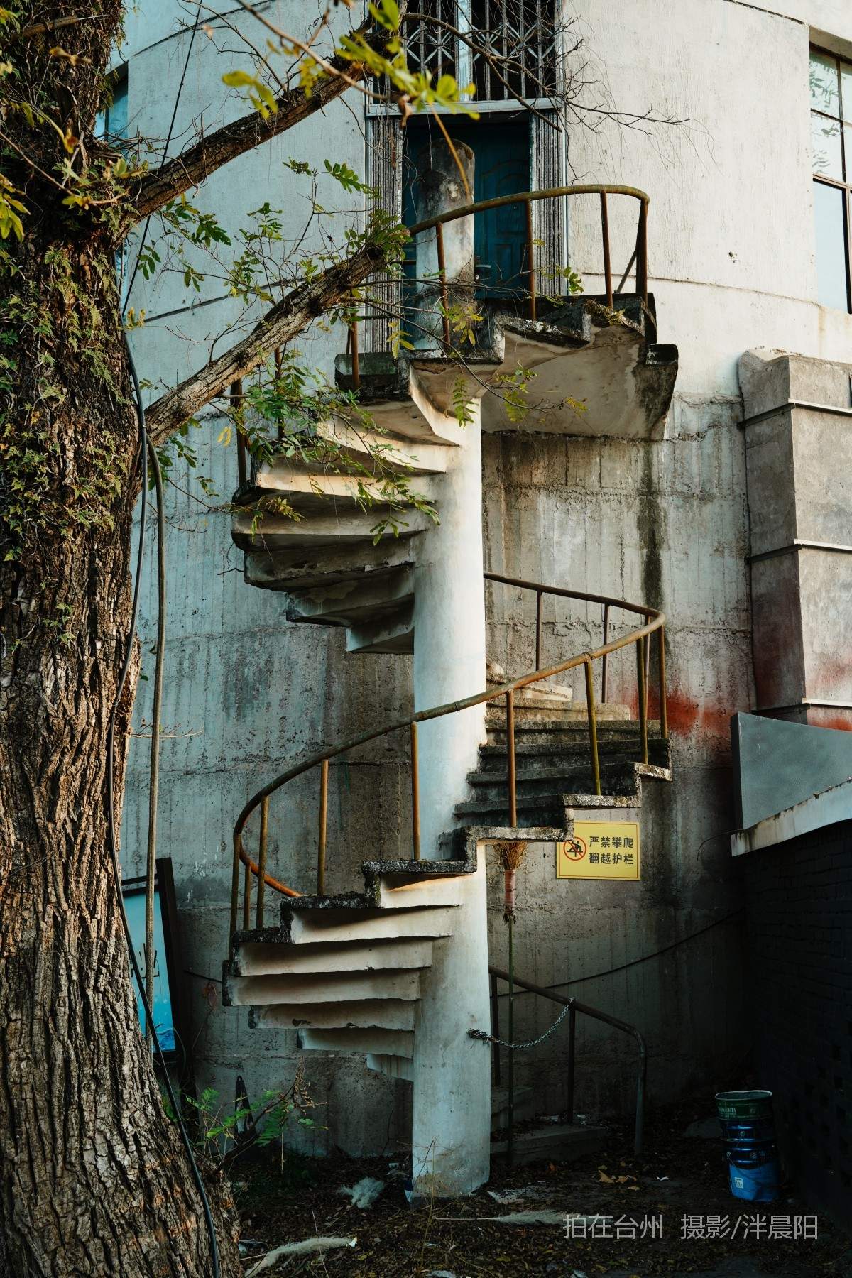 仙居河埠路浮石园(图18)