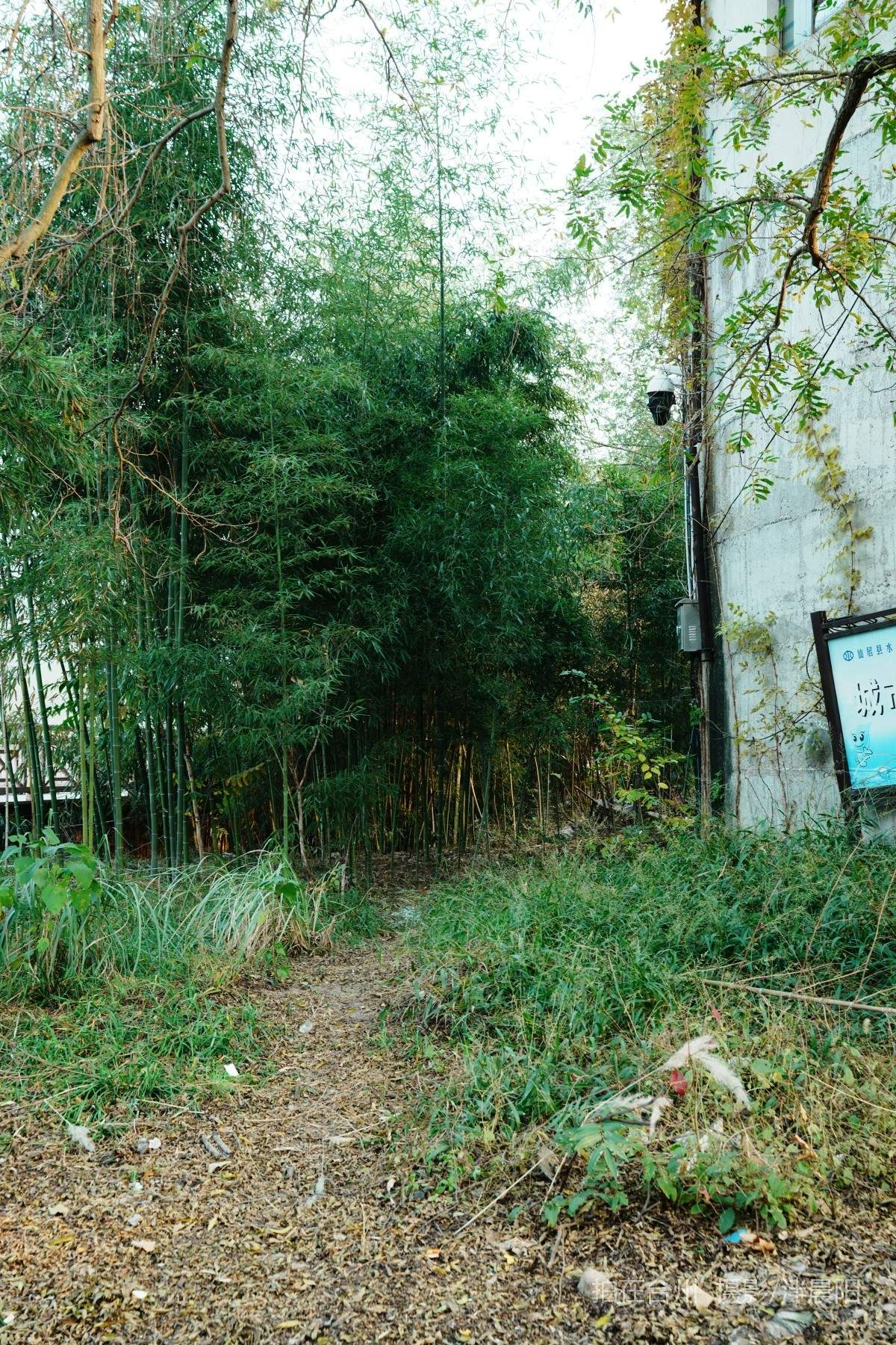 仙居河埠路浮石园(图14)