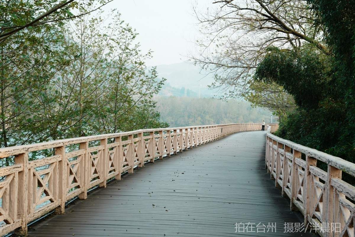 仙居河埠路浮石园(图12)