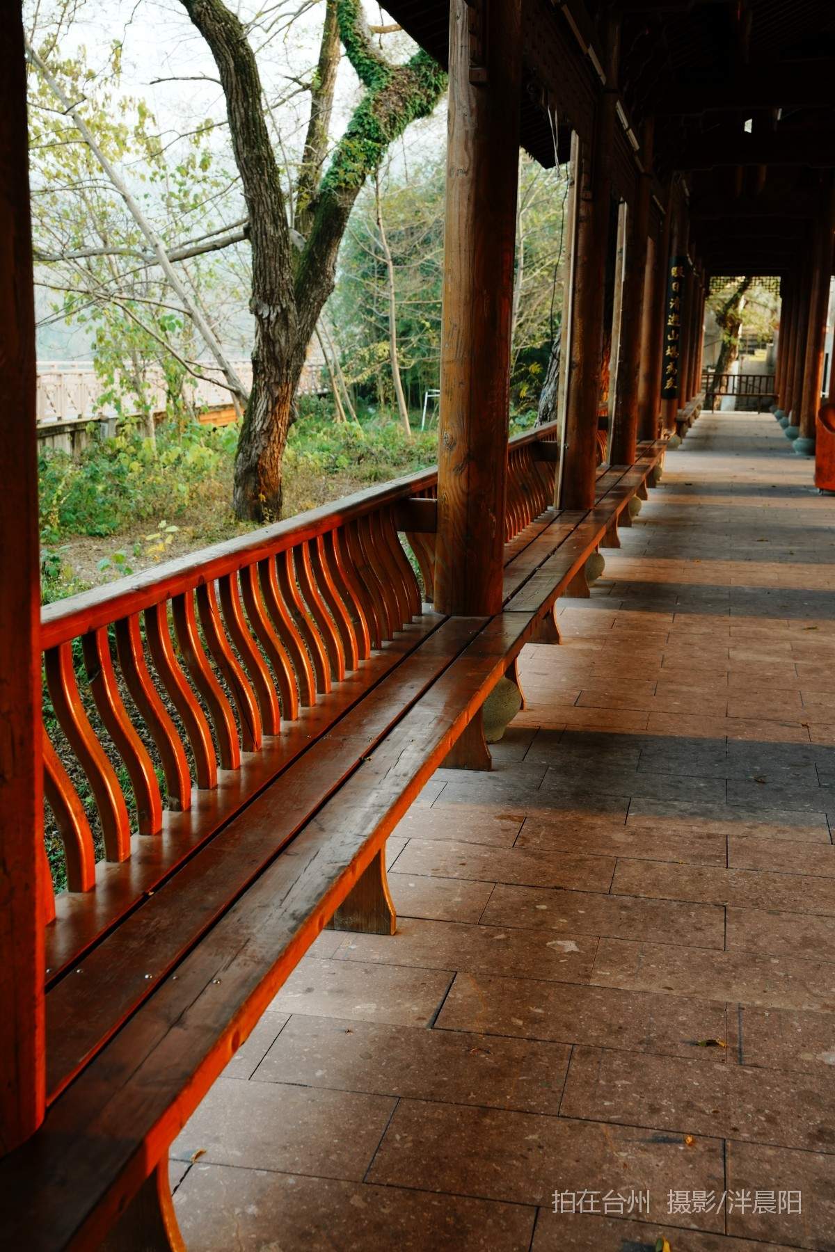 仙居河埠路浮石园(图7)