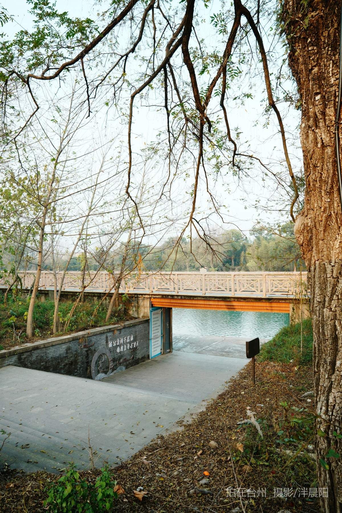 仙居河埠路浮石园(图4)