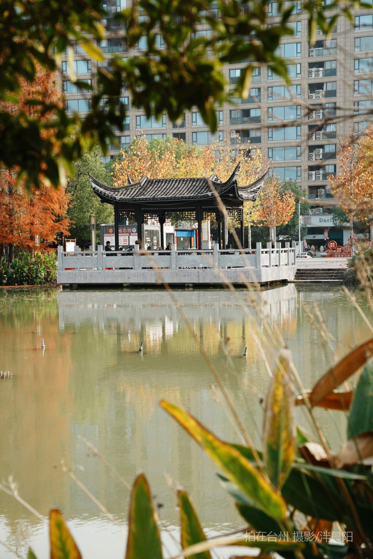 仙居环城南路泰和南路交叉口市民广场(图12)