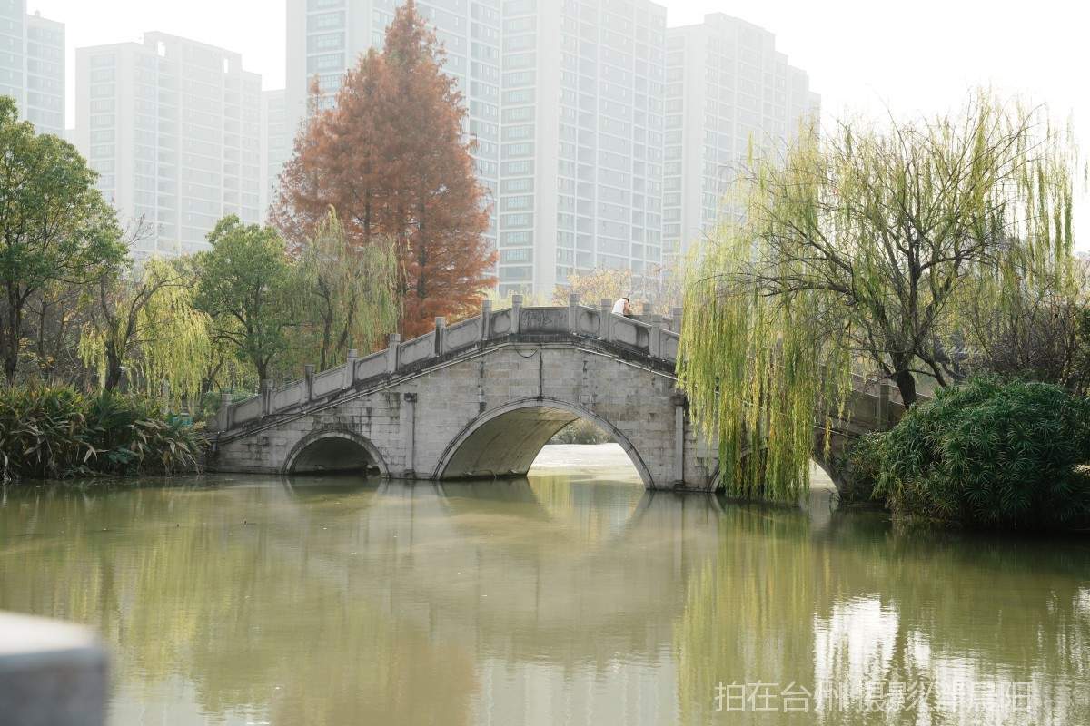 仙居环城南路泰和南路交叉口市民广场(图13)