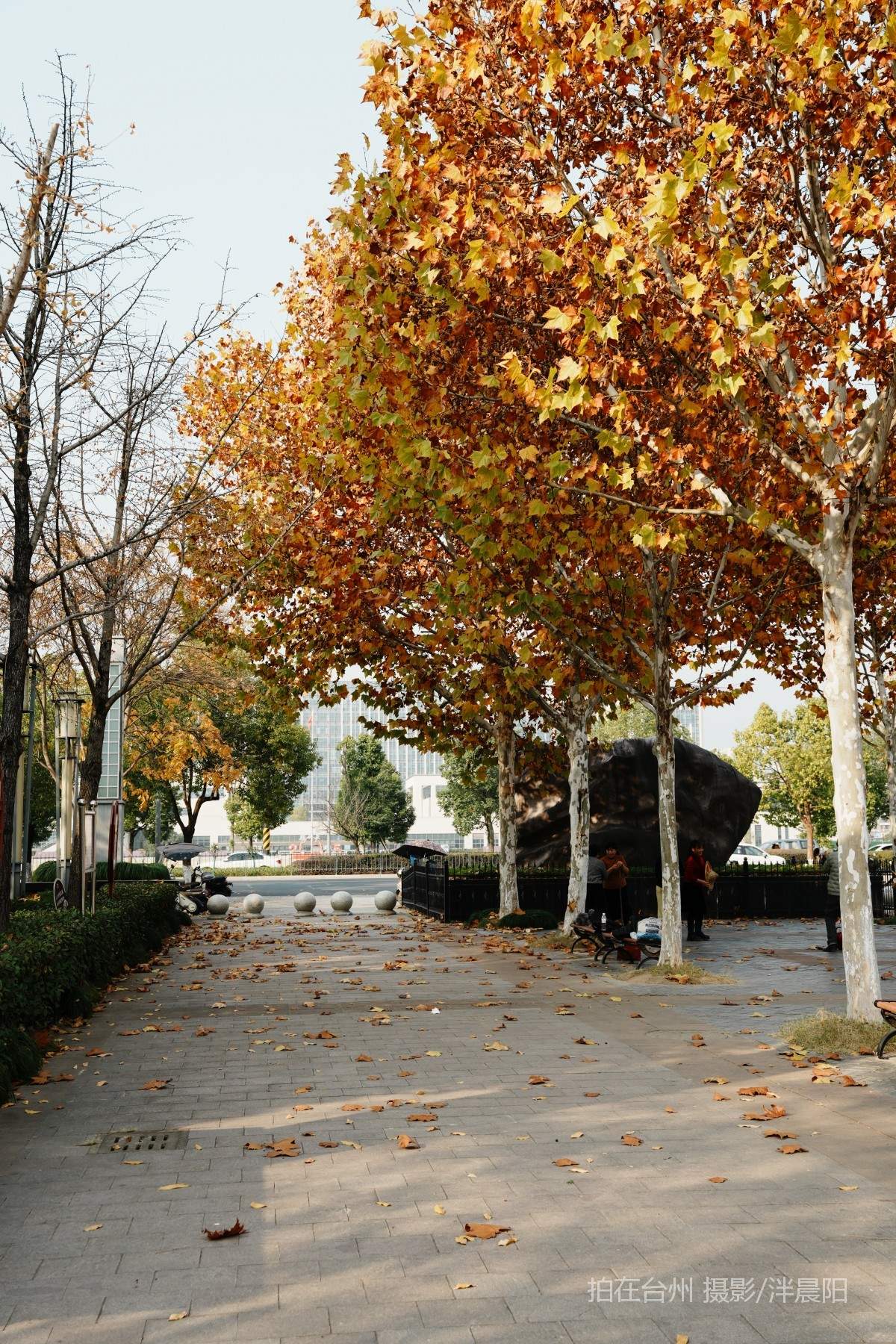 仙居环城南路泰和南路交叉口市民广场(图8)