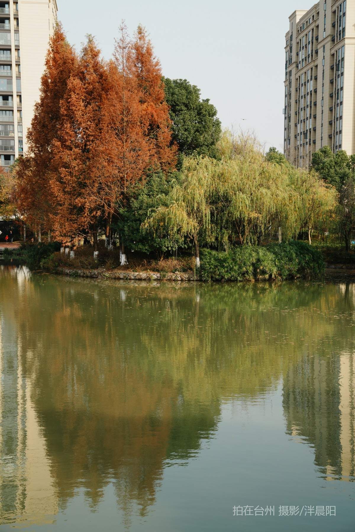 仙居环城南路泰和南路交叉口市民广场(图7)