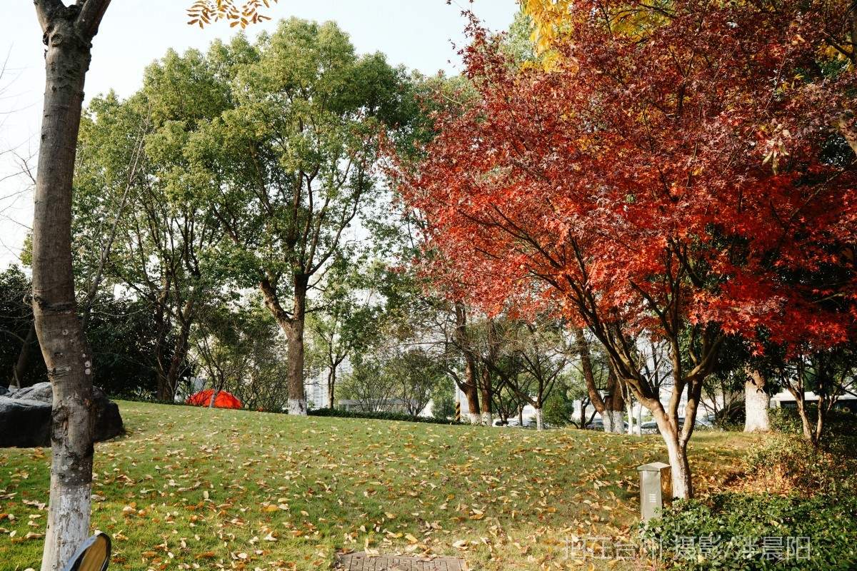 仙居环城南路泰和南路交叉口市民广场(图6)