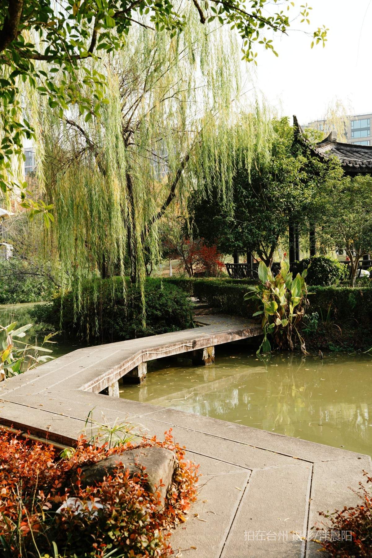 仙居环城南路泰和南路交叉口市民广场(图2)