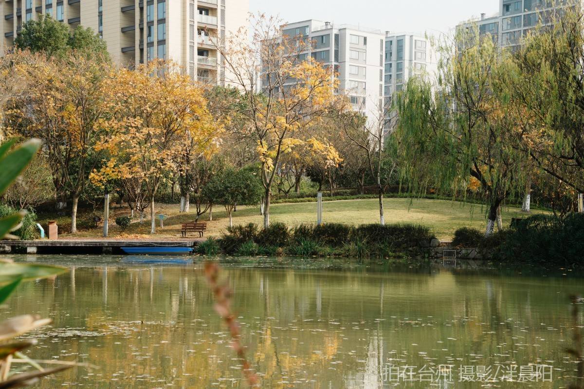 仙居环城南路泰和南路交叉口市民广场(图9)