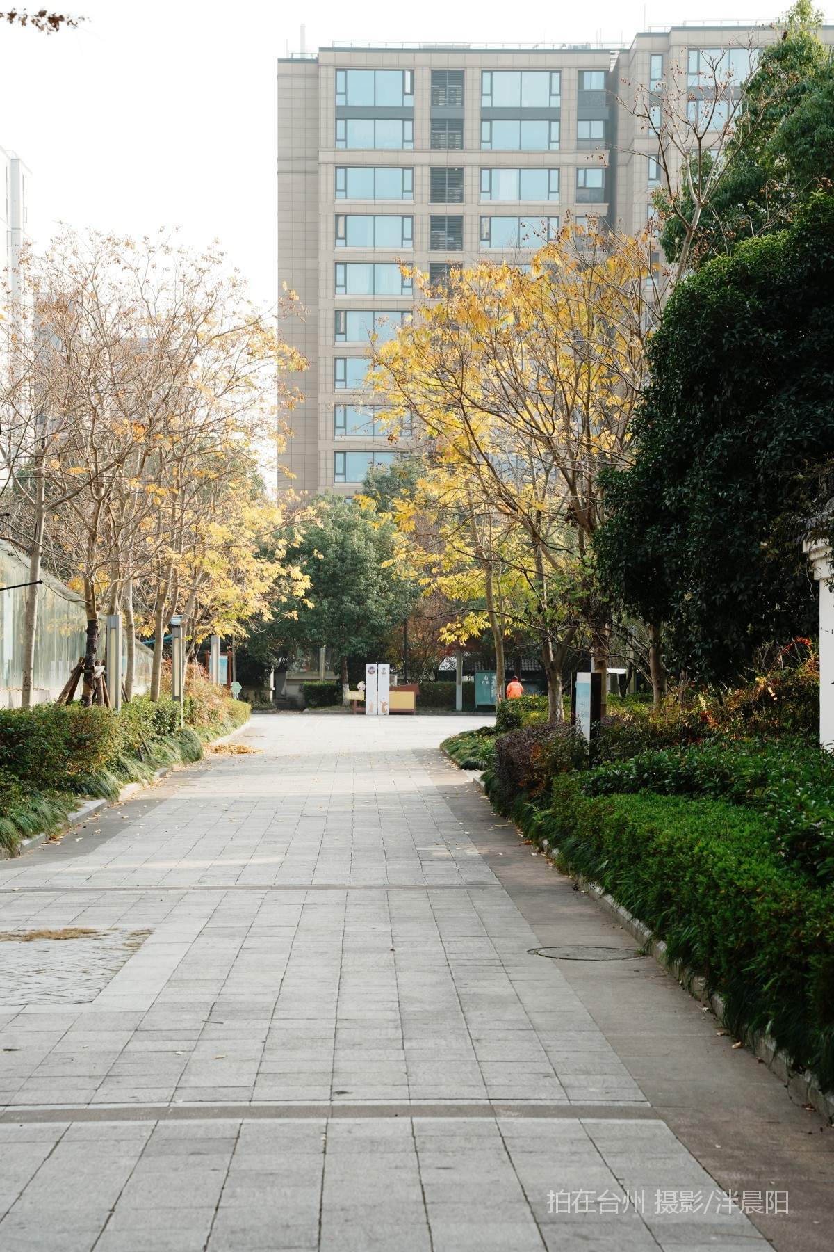 仙居环城南路泰和南路交叉口市民广场(图4)