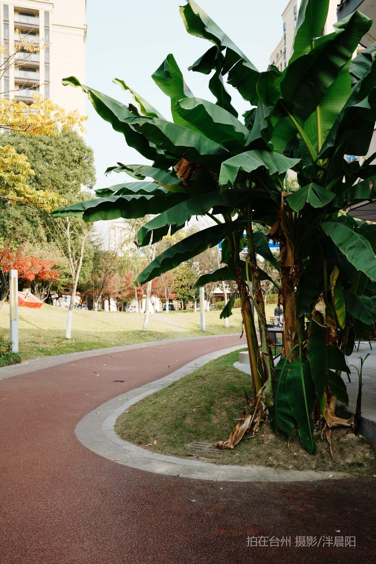 仙居环城南路泰和南路交叉口市民广场(图5)