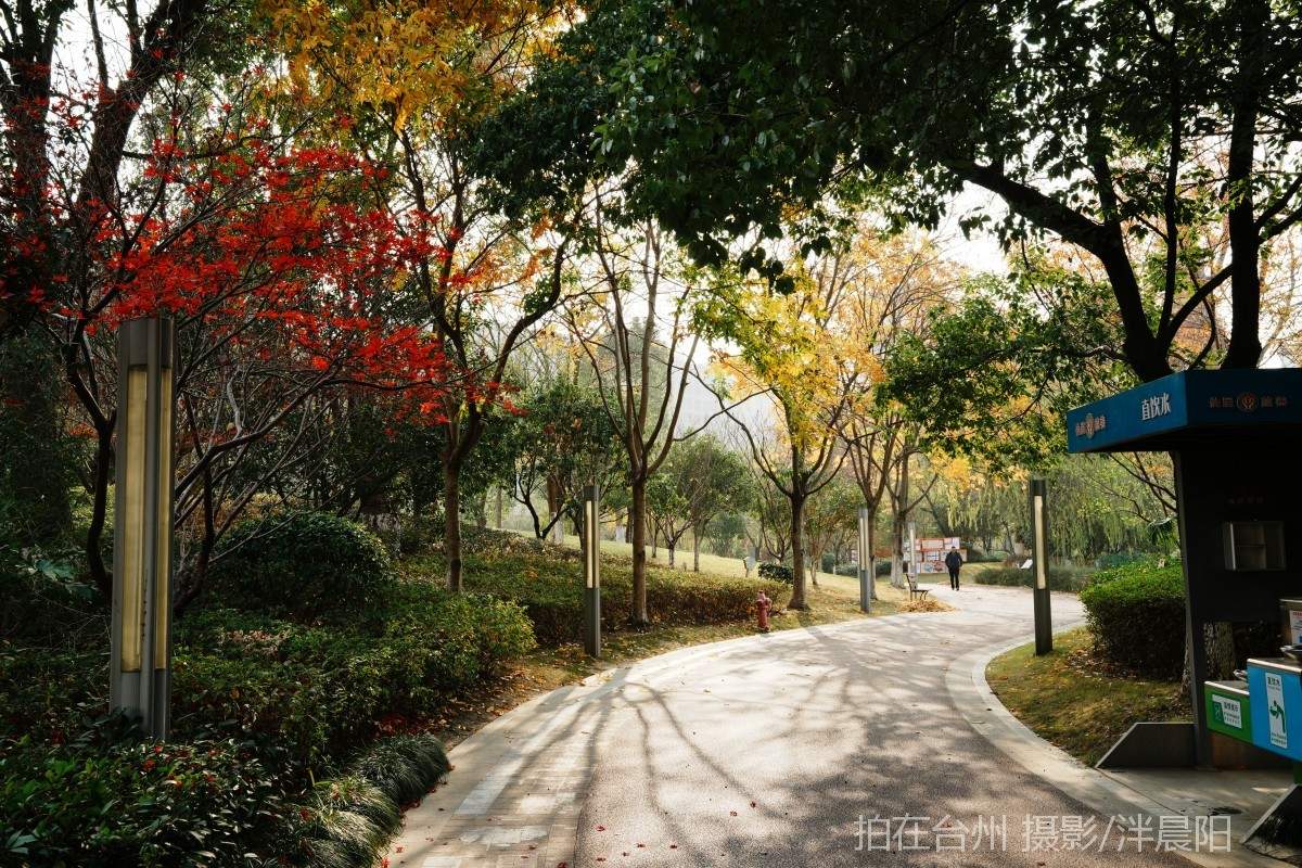 仙居环城南路泰和南路交叉口市民广场(图3)