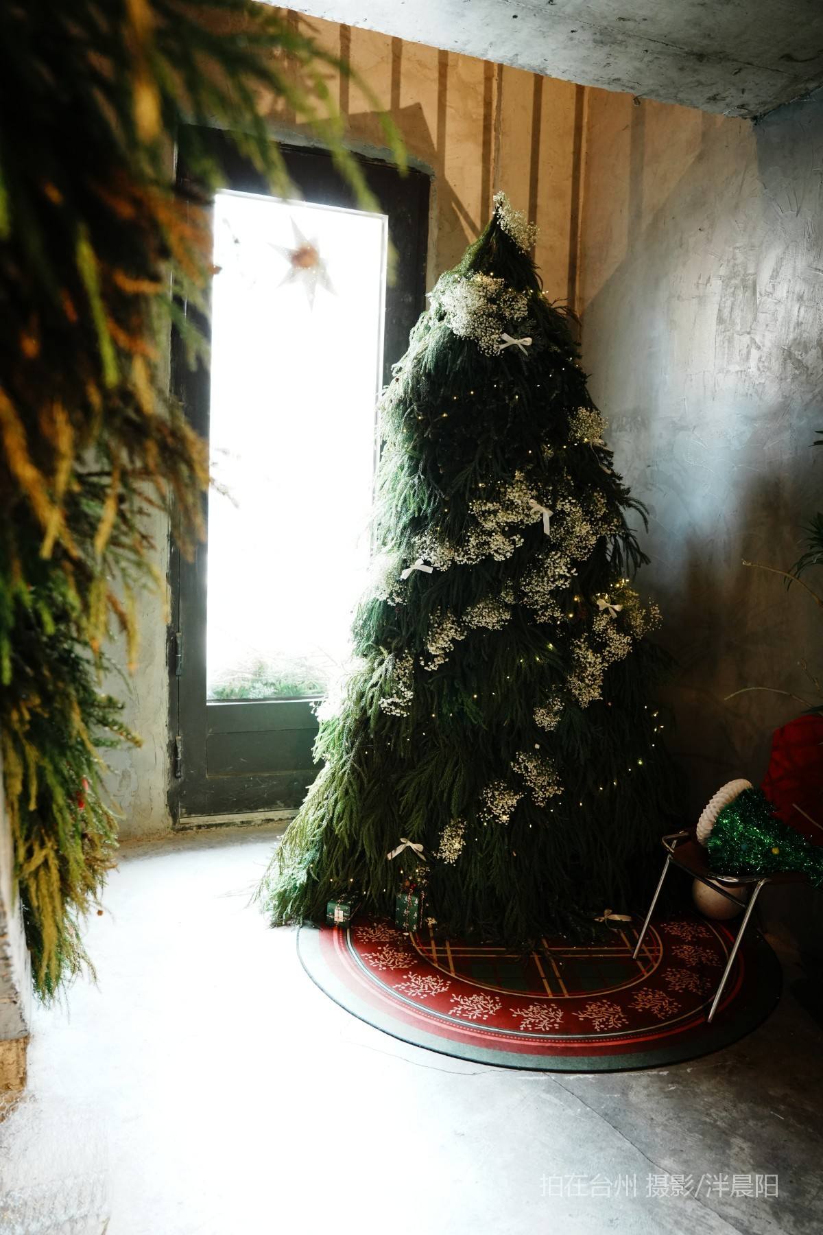 仙居环西南路115号okboom(图19)