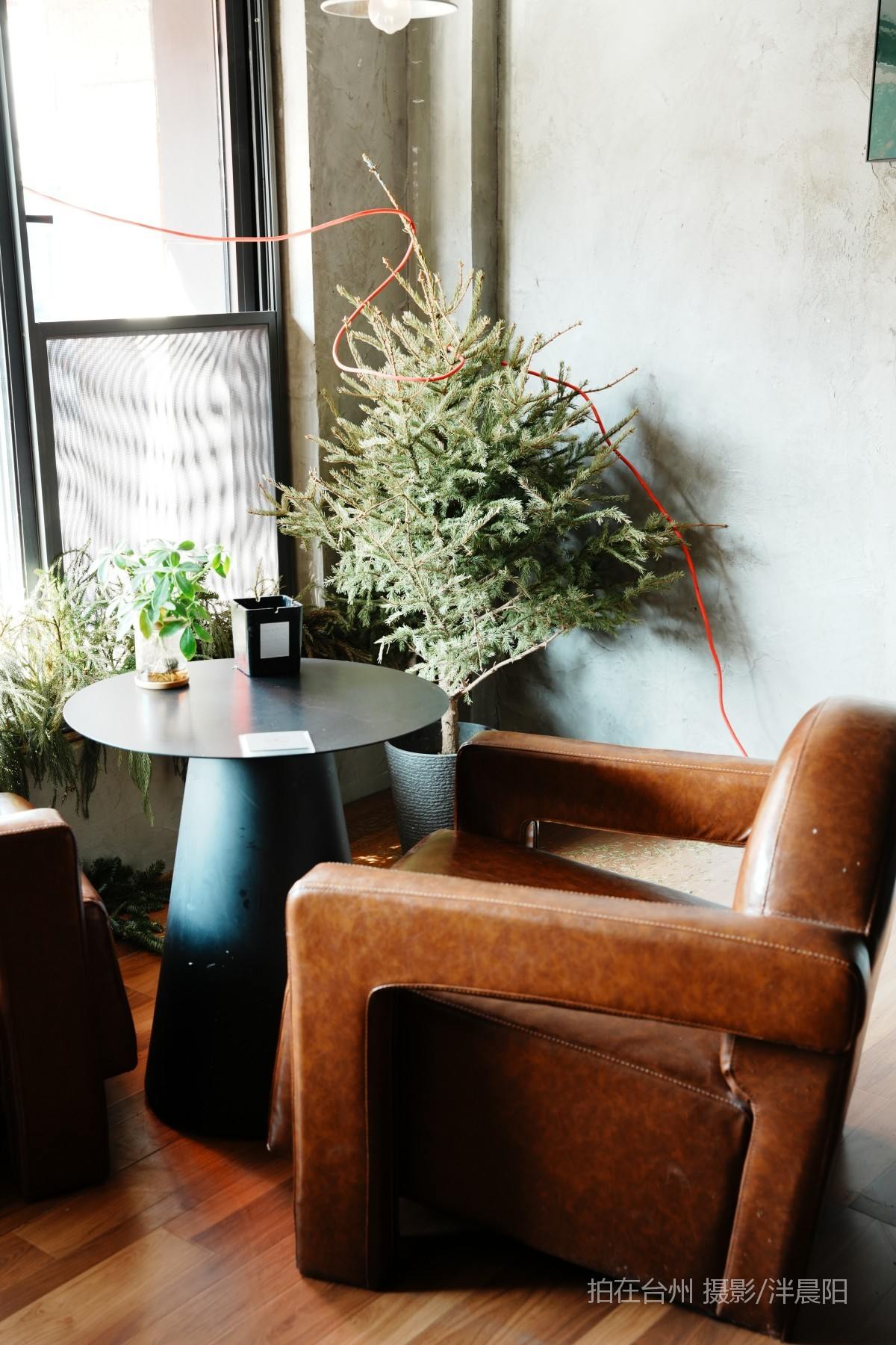 仙居环西南路115号okboom(图16)