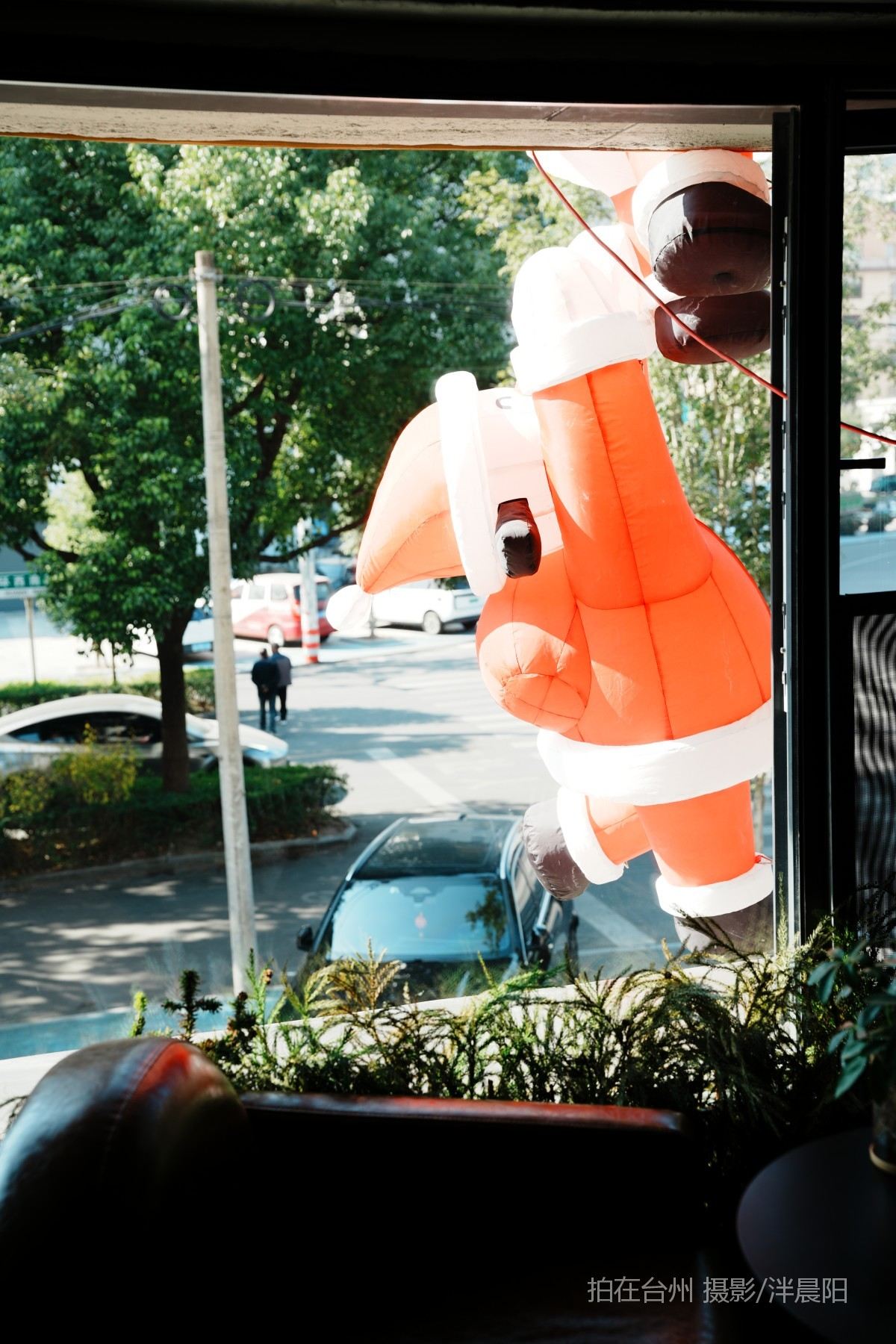 仙居环西南路115号okboom(图15)