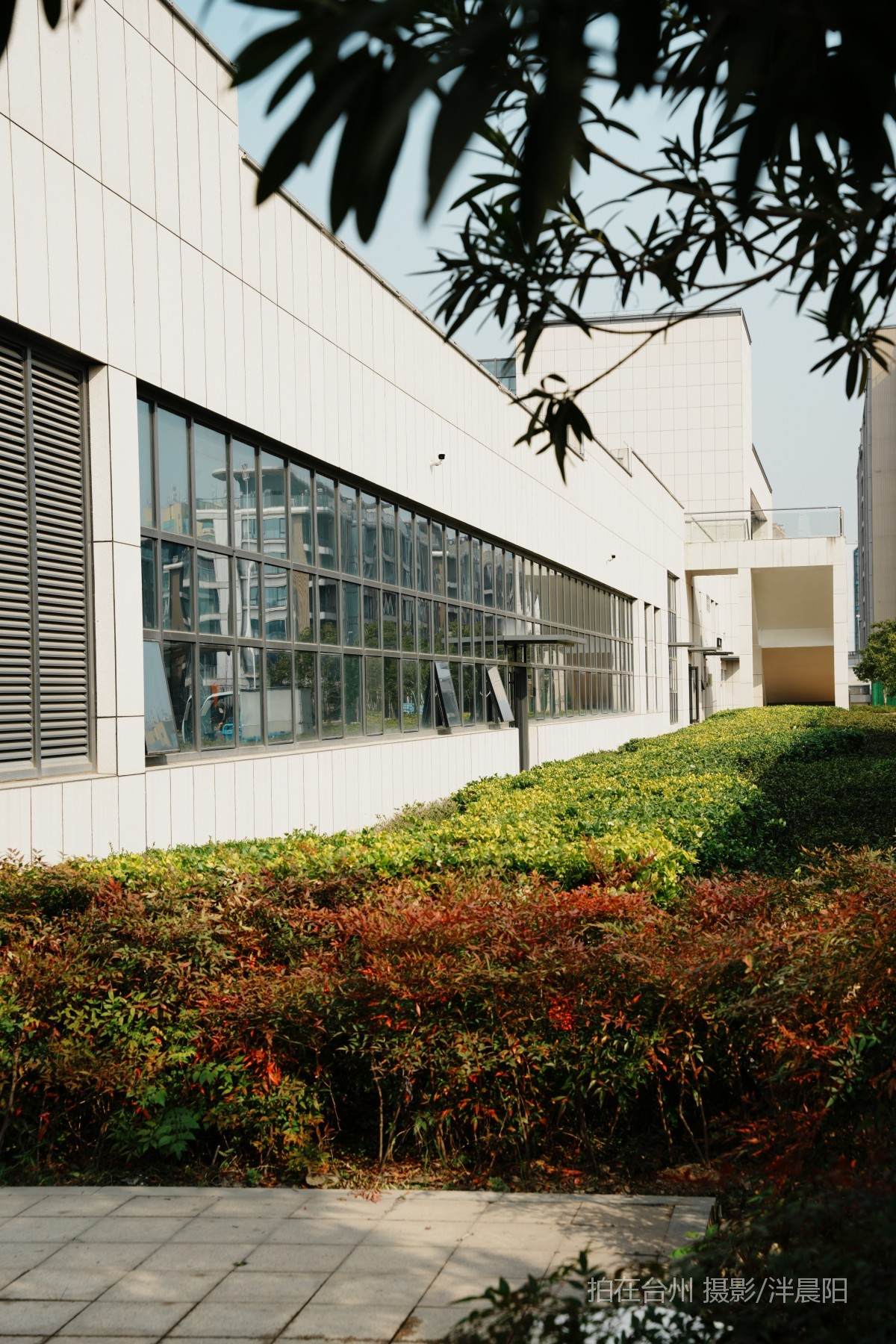 仙居泰和中路6号行政服务中心(图18)