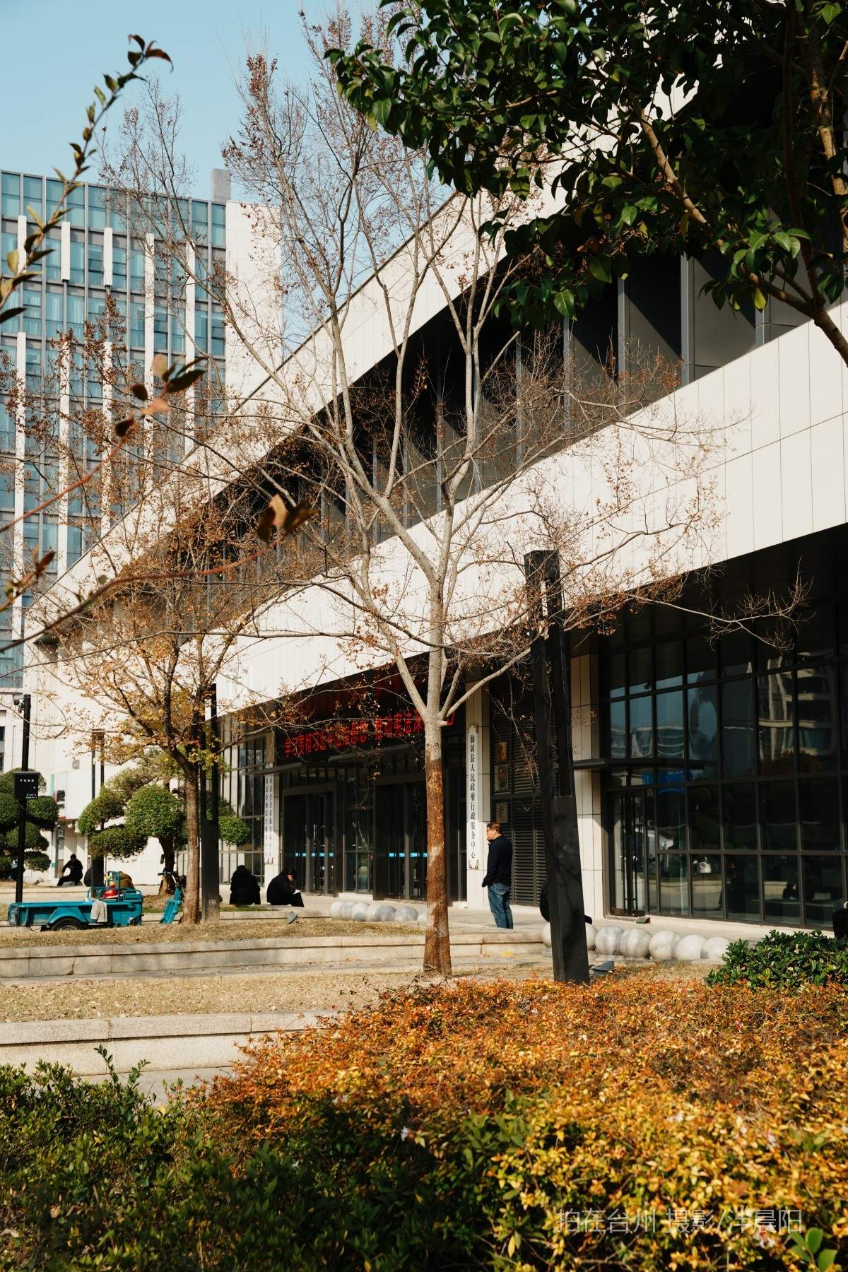 仙居泰和中路6号行政服务中心(图16)