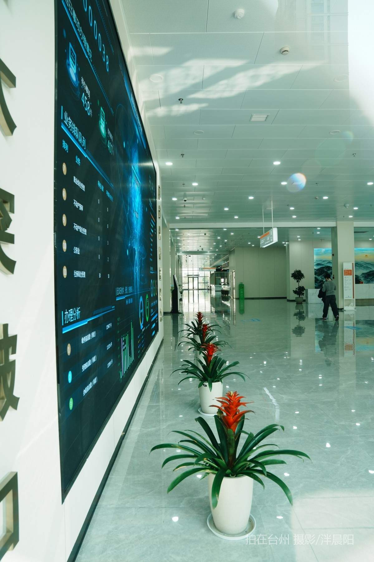 仙居泰和中路6号行政服务中心(图1)