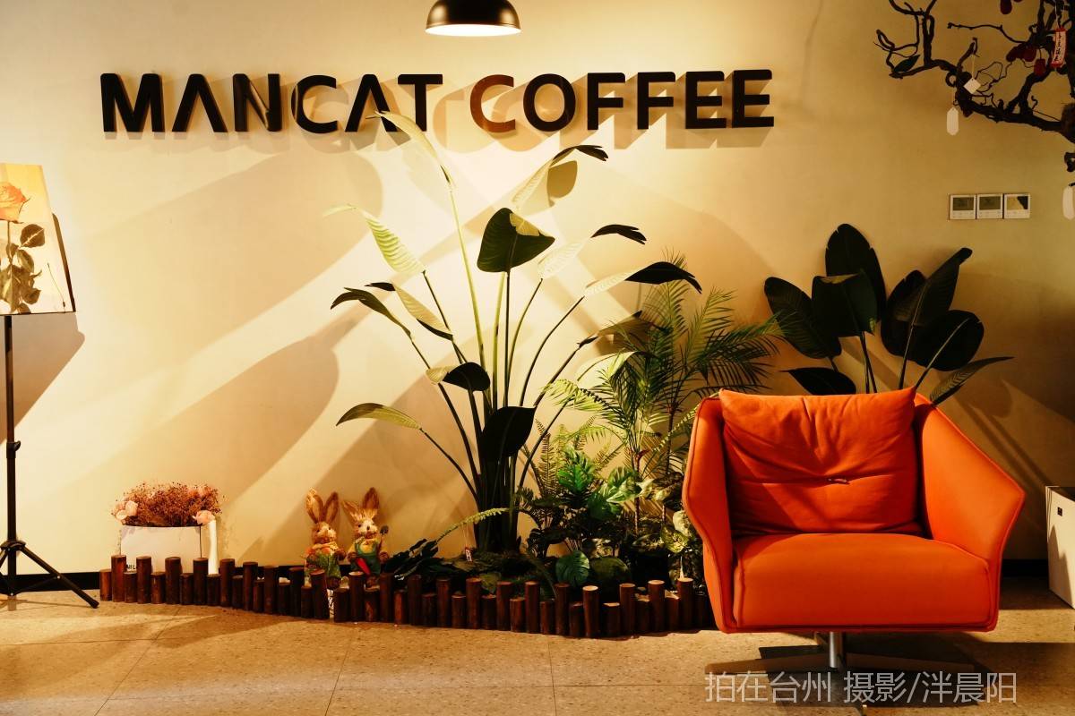 仙居西门街81号漫猫咖啡(图25)