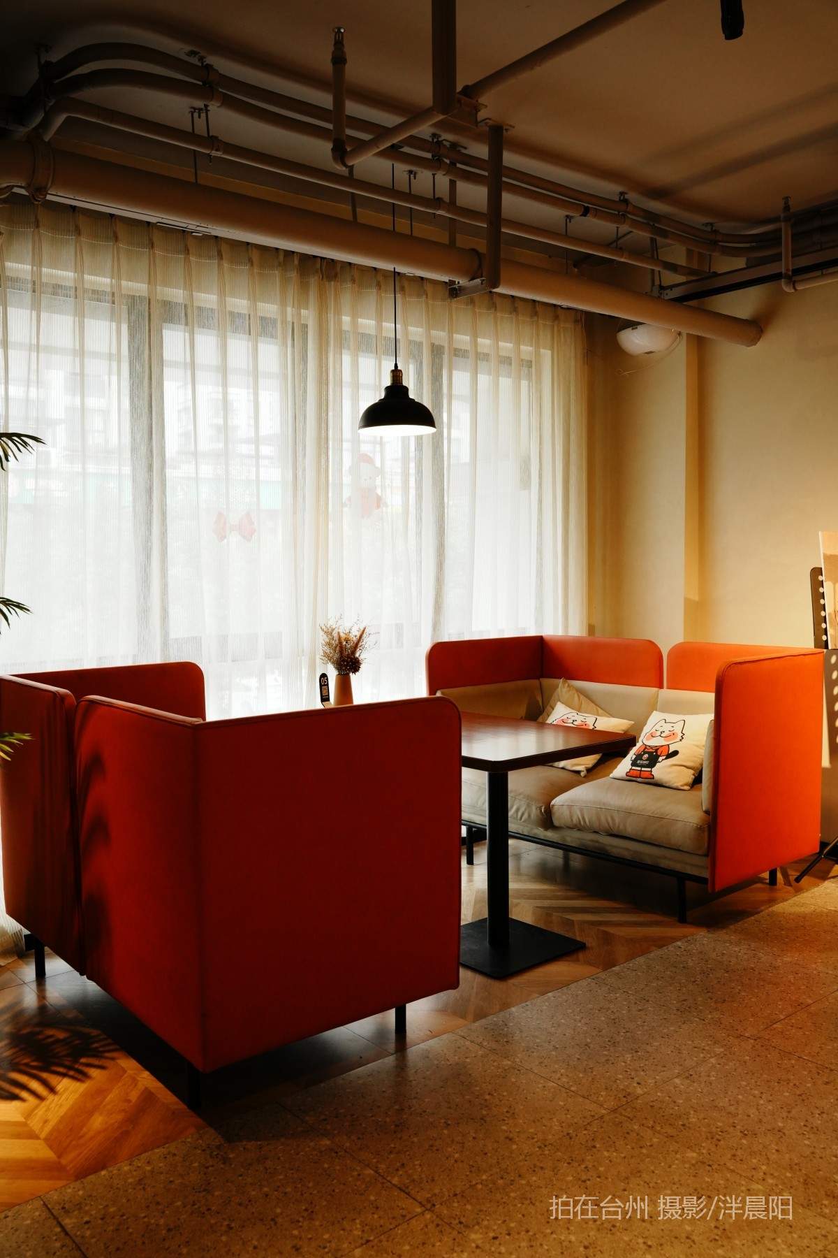 仙居西门街81号漫猫咖啡(图27)