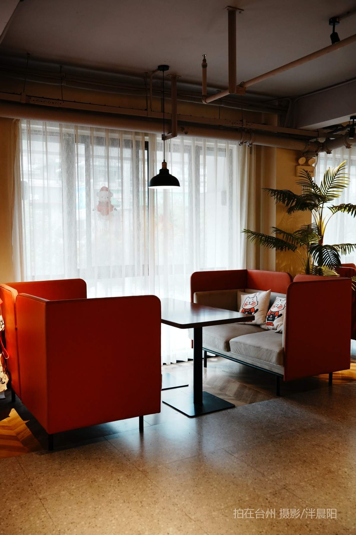 仙居西门街81号漫猫咖啡(图16)