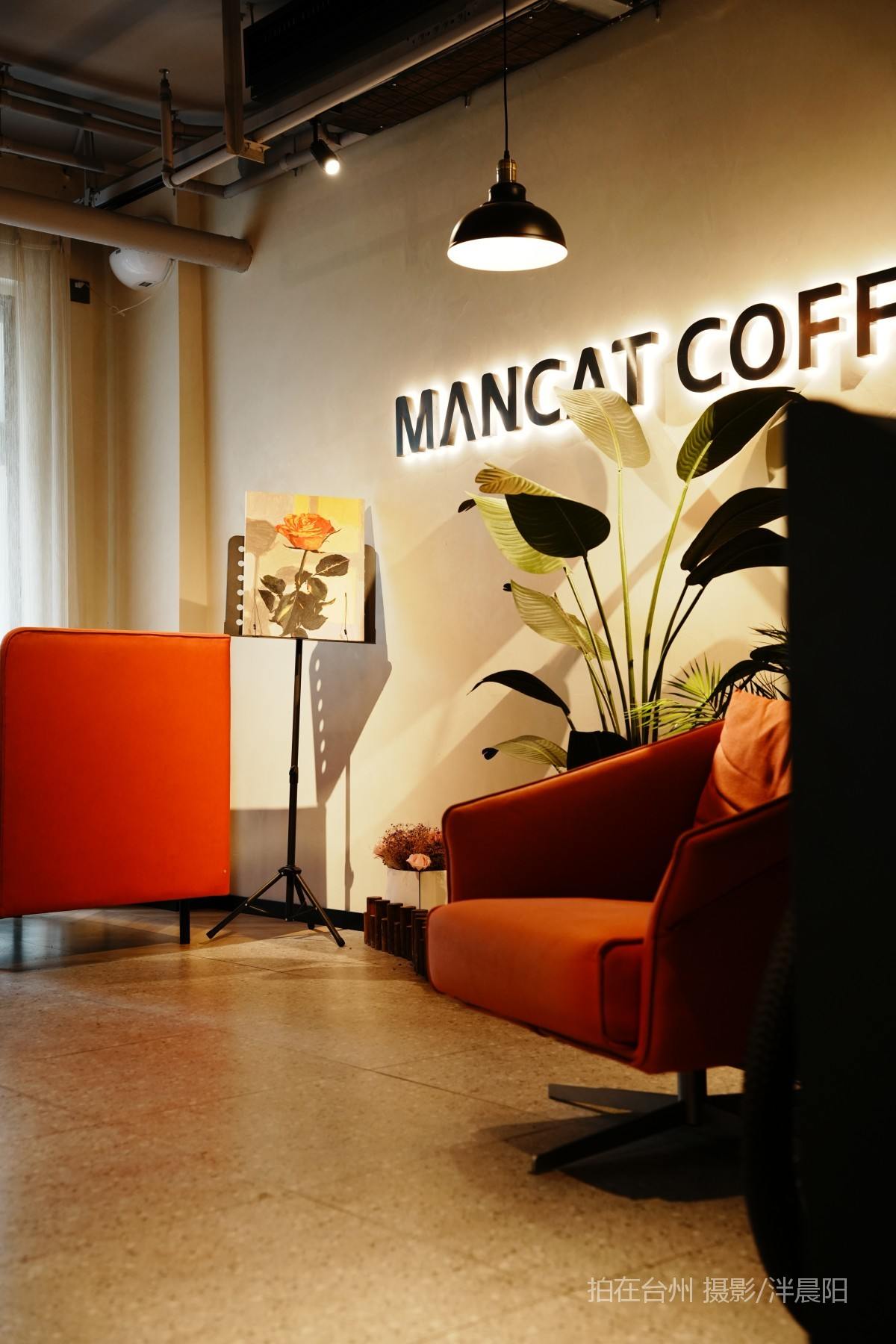 仙居西门街81号漫猫咖啡(图13)