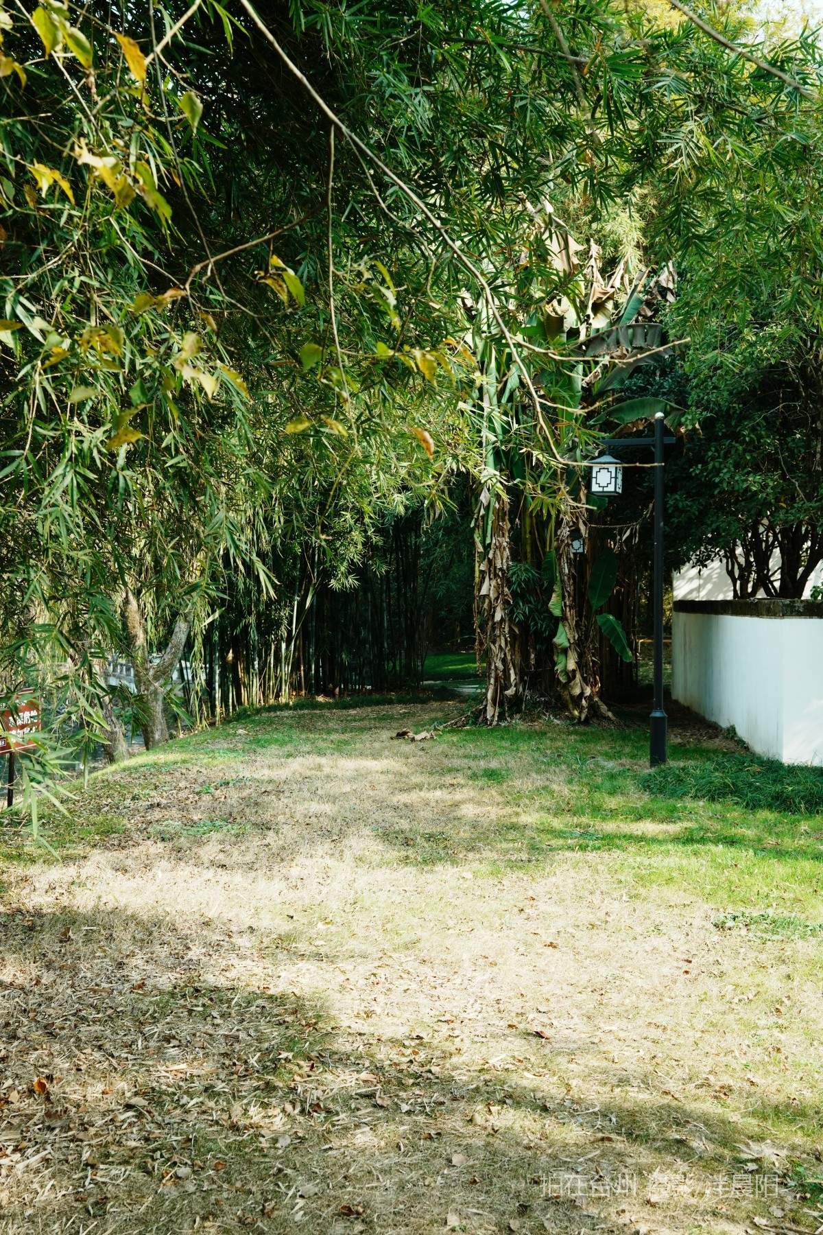 仙居皤滩乡山下村桐江书院景区桐江书院(图11)