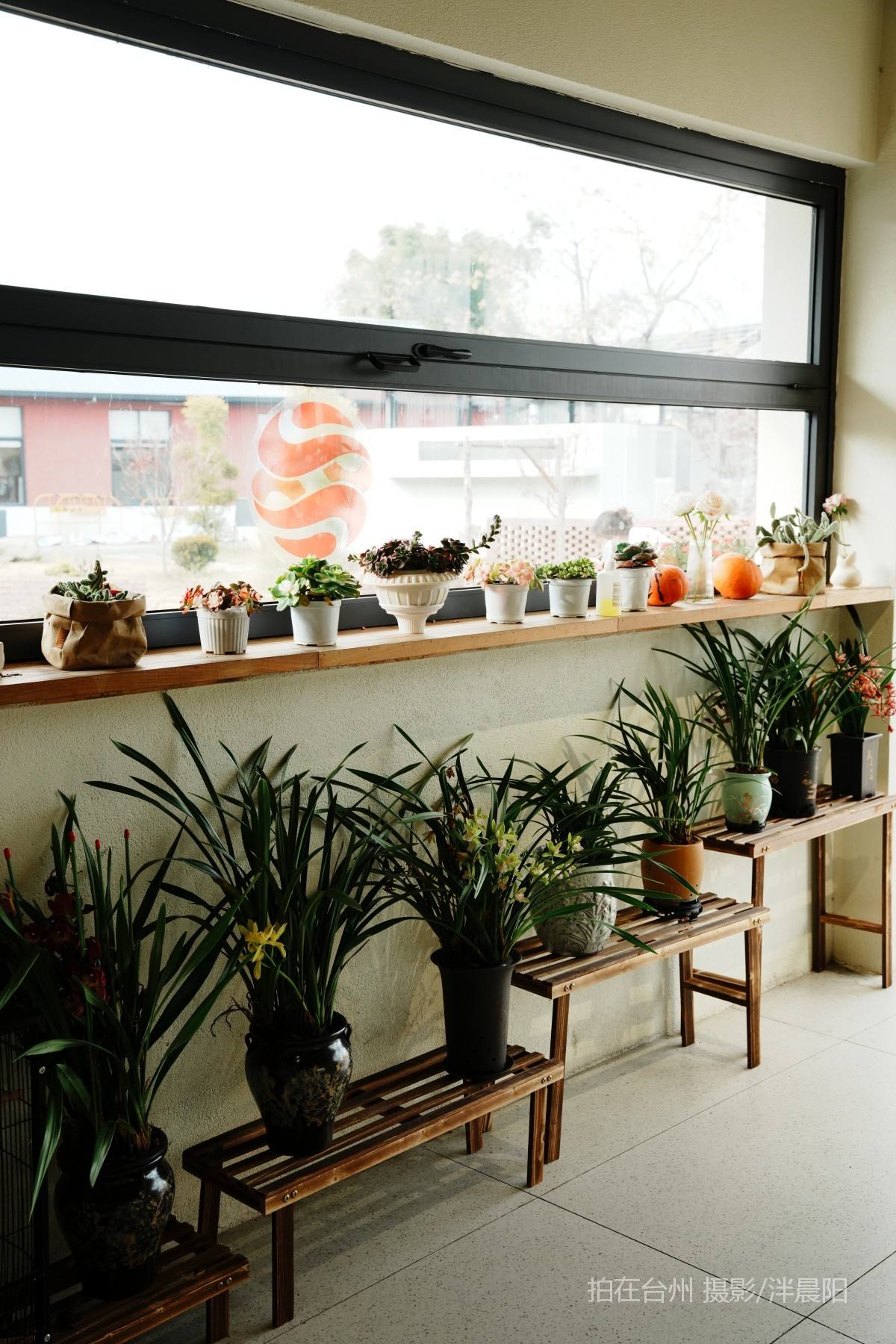 田市镇  云田古镇·在野集(图40)