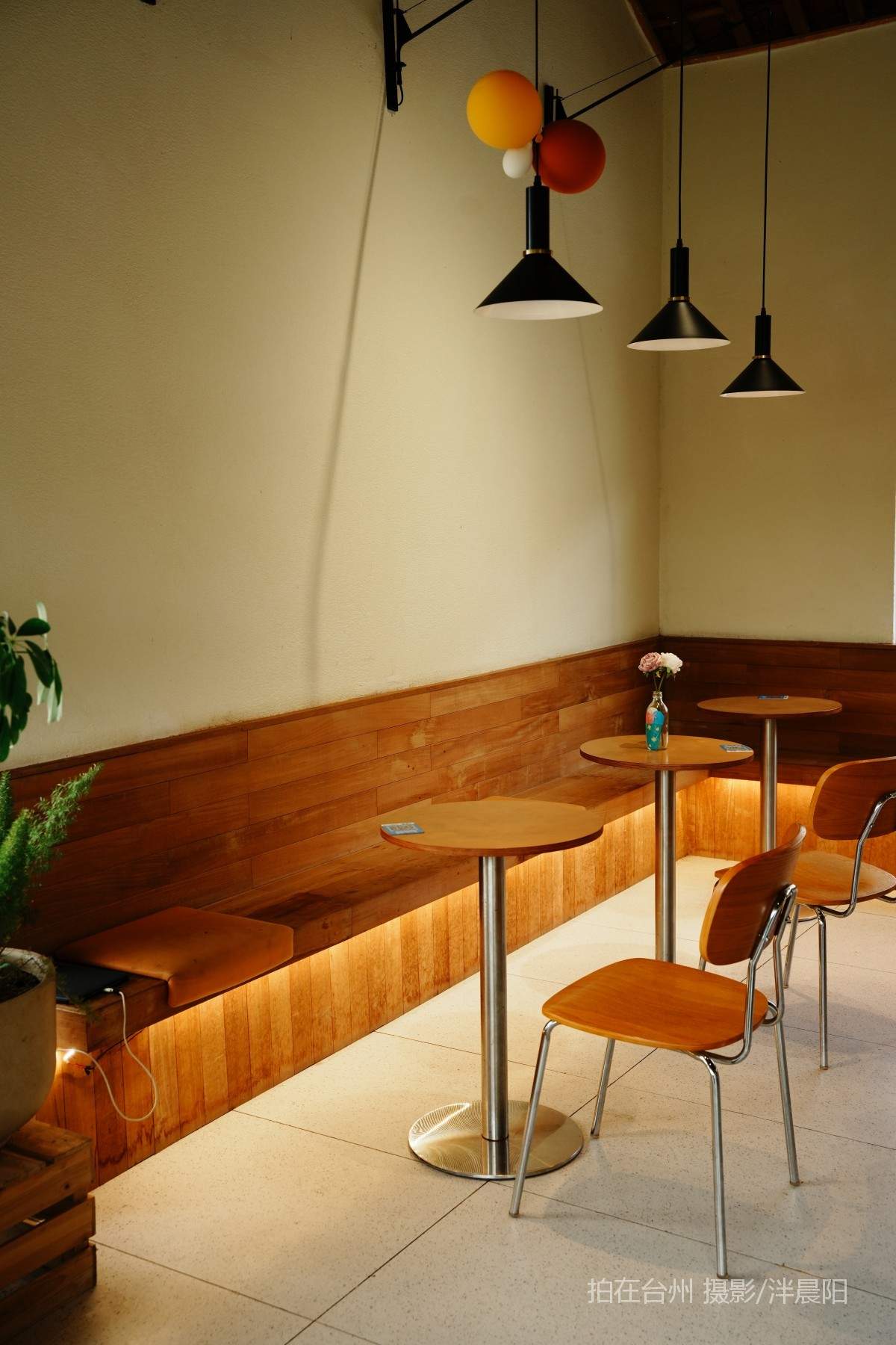 田市镇  云田古镇·在野集(图38)