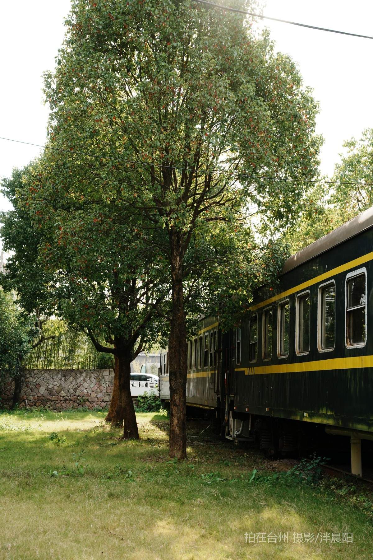 田市镇  云田古镇·在野集(图27)