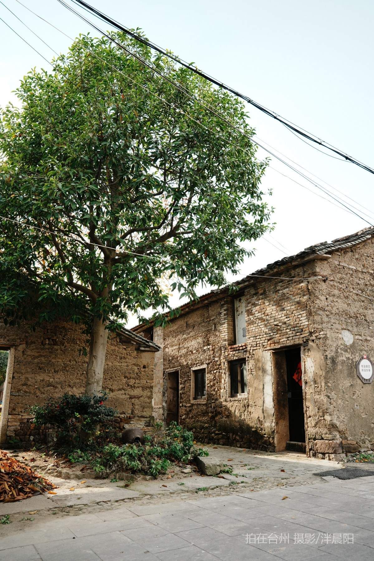 田市镇  云田古镇·在野集(图14)