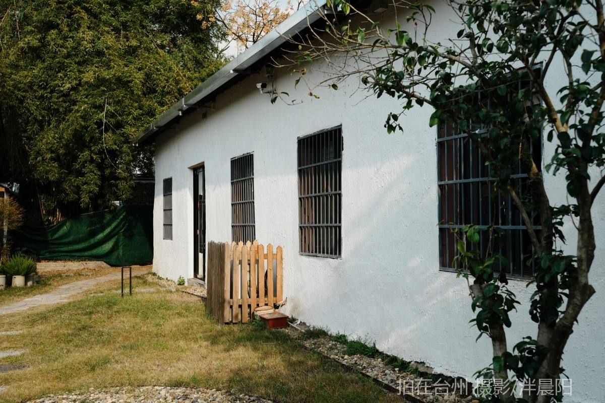 田市镇  云田古镇·在野集(图11)